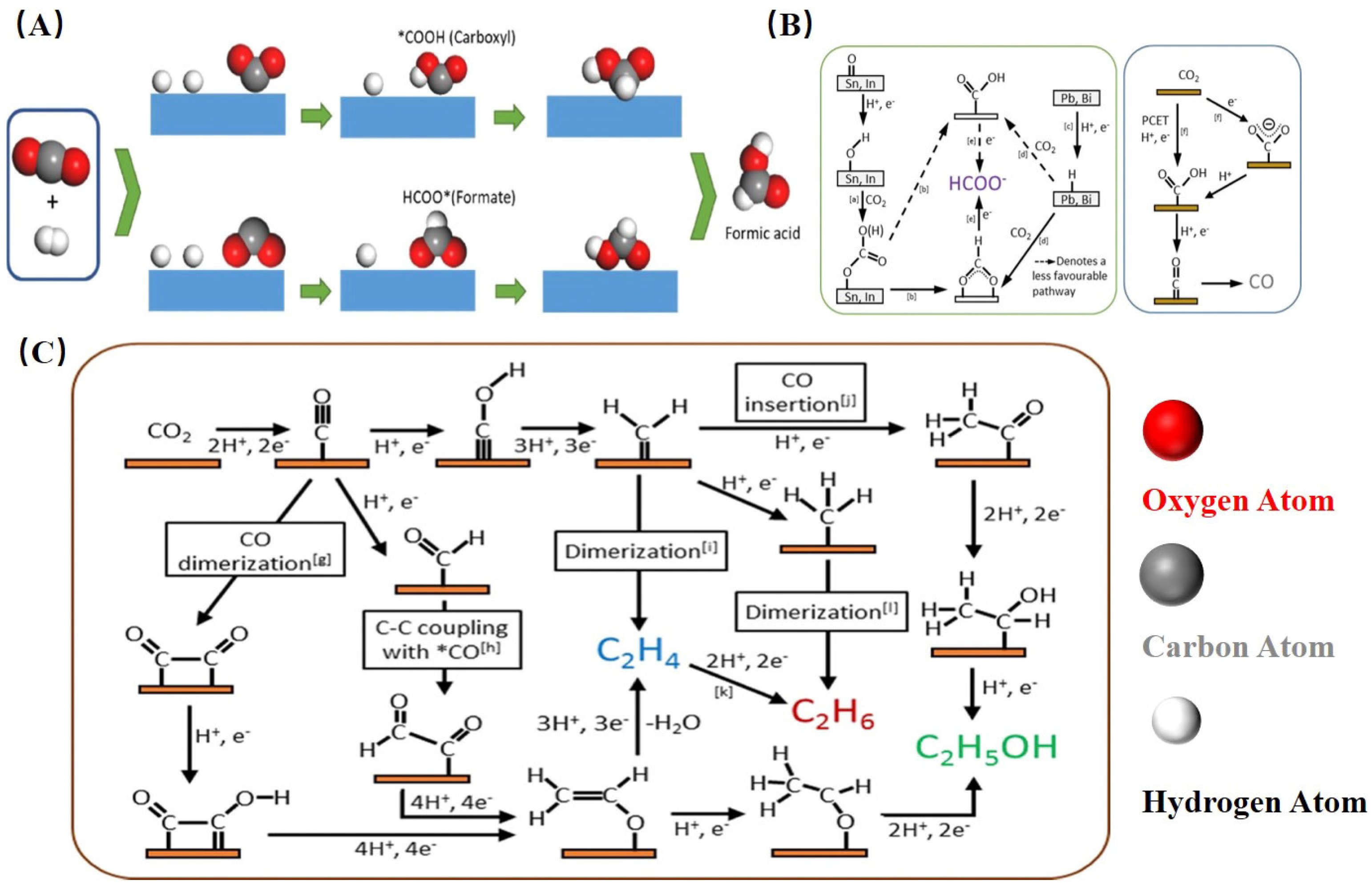 Catalysts 14 00936 g001