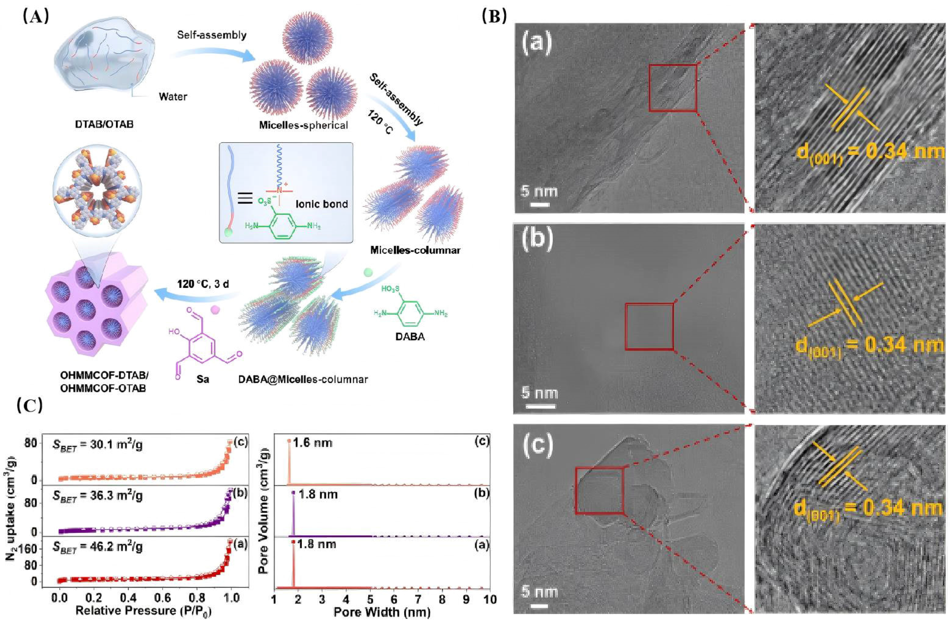 Catalysts 14 00936 g004