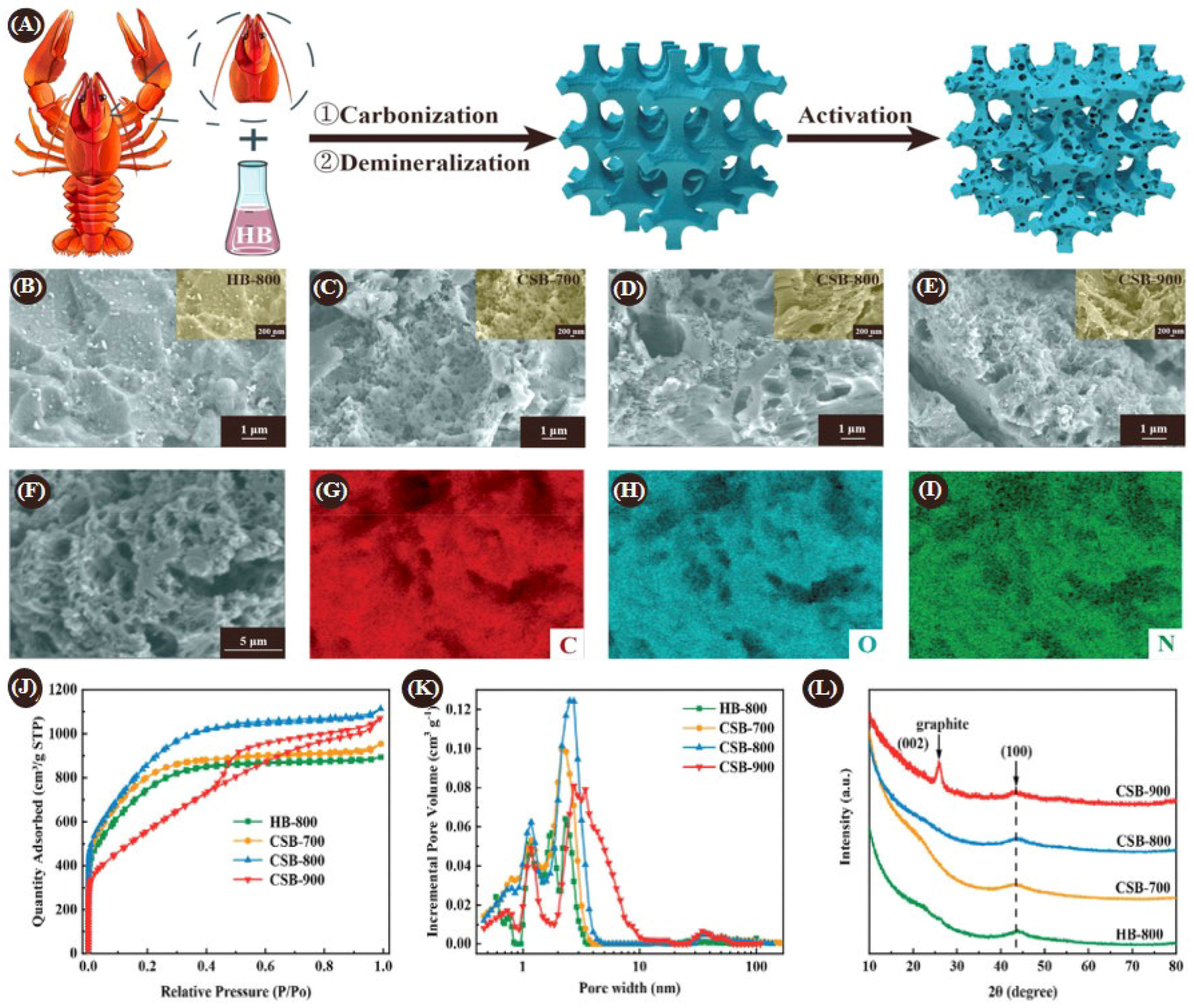 Catalysts 14 00936 g008