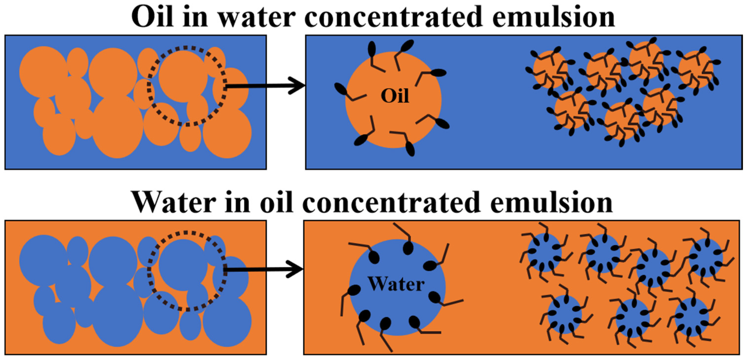 Catalysts 14 00936 g013