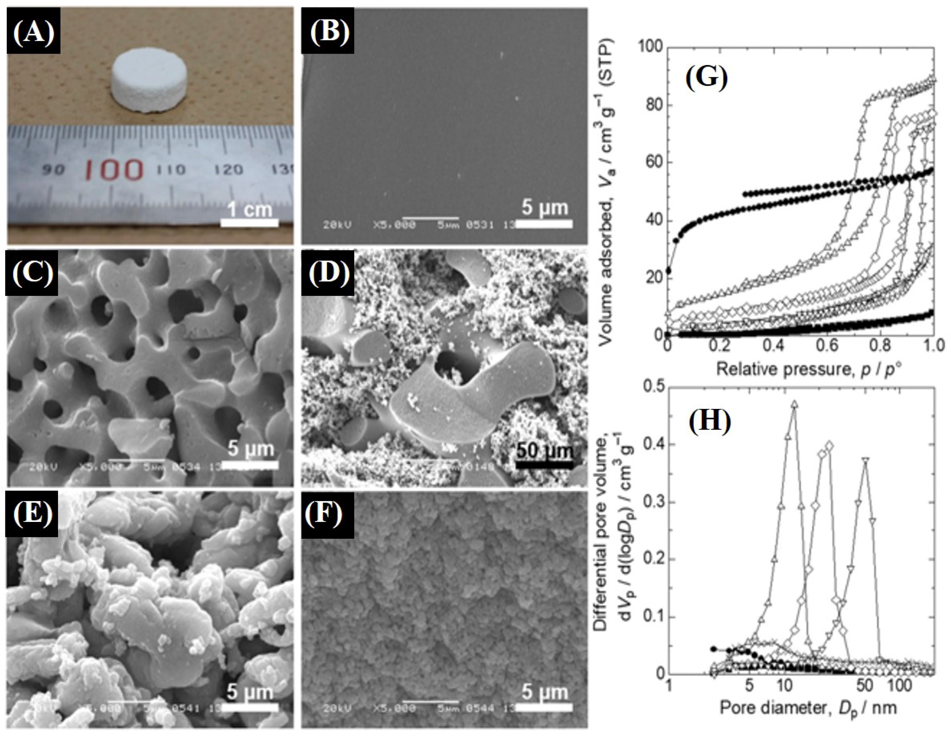 Catalysts 14 00936 g017