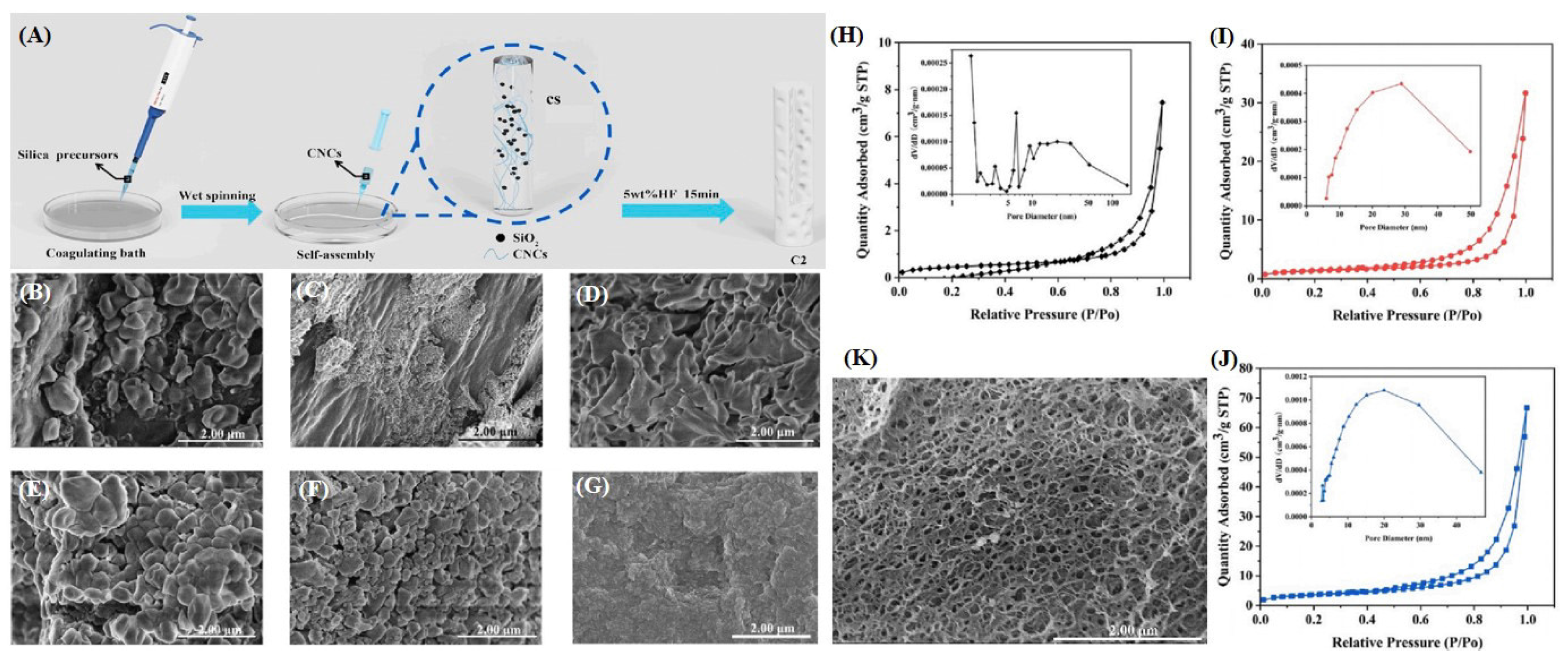 Catalysts 14 00936 g022