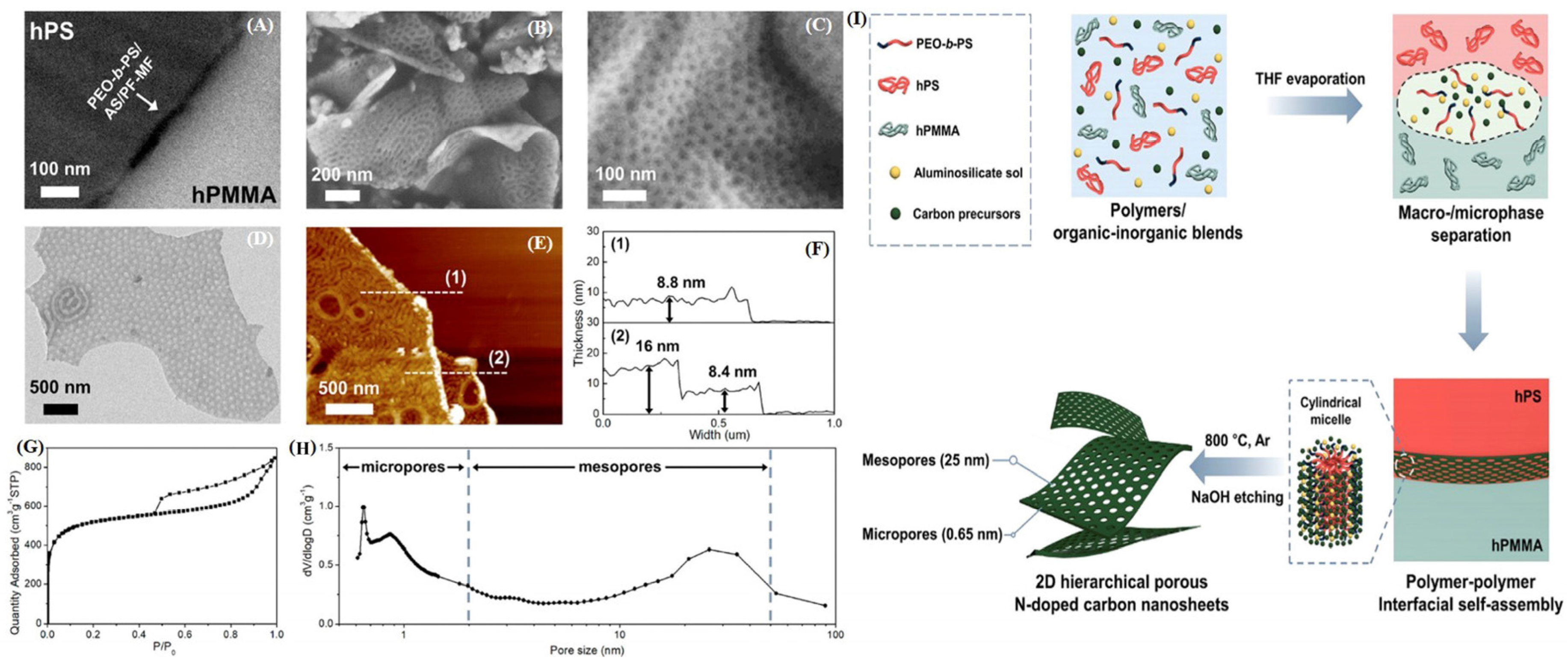 Catalysts 14 00936 g023
