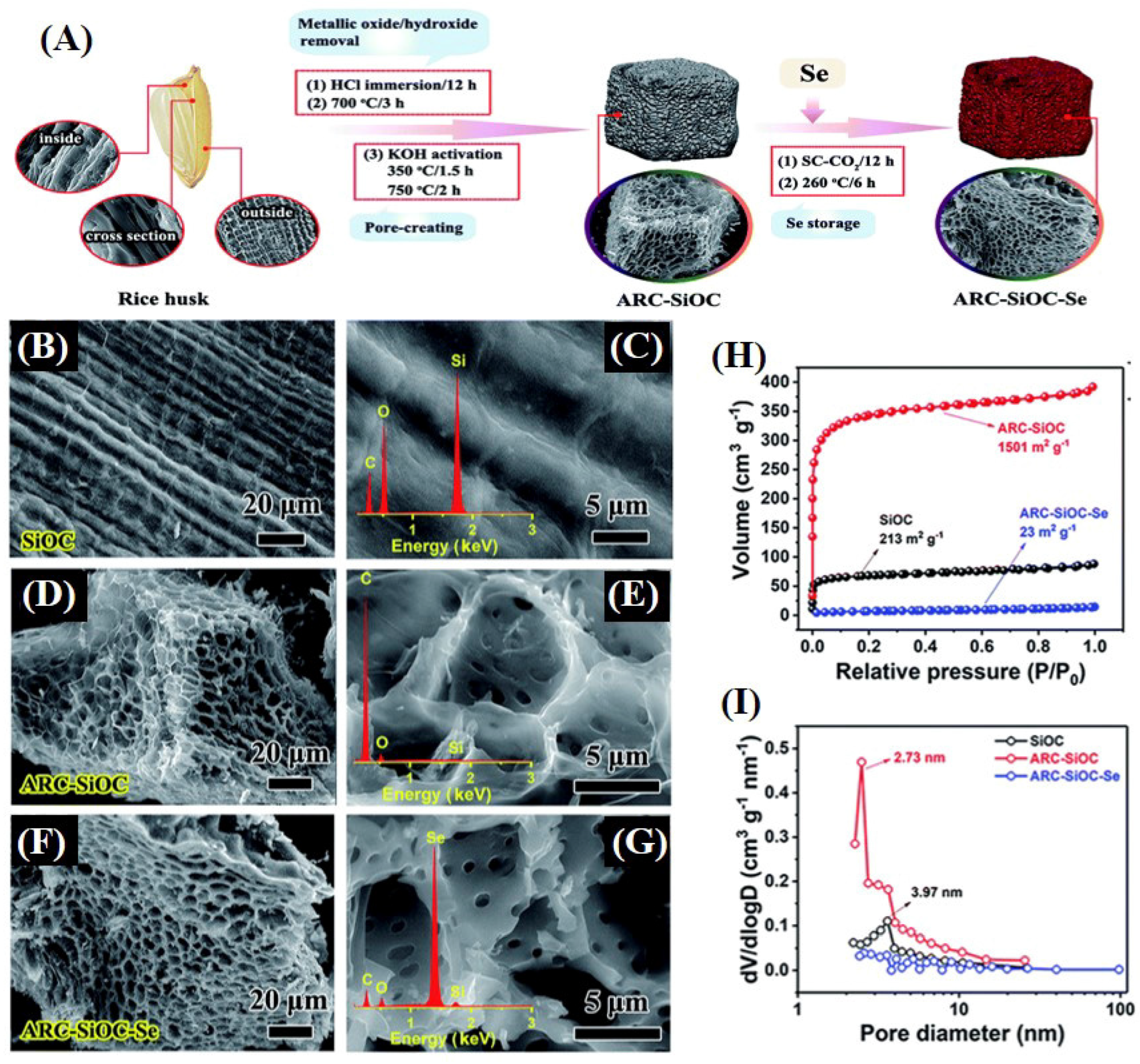 Catalysts 14 00936 g025