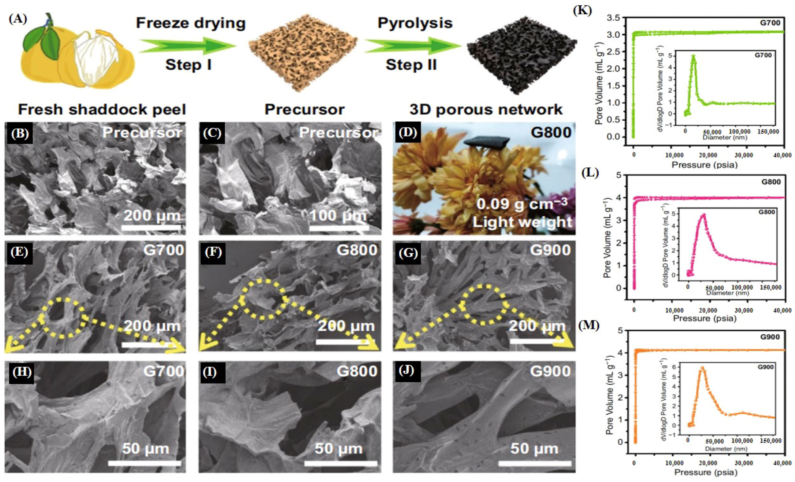 Catalysts 14 00936 g028