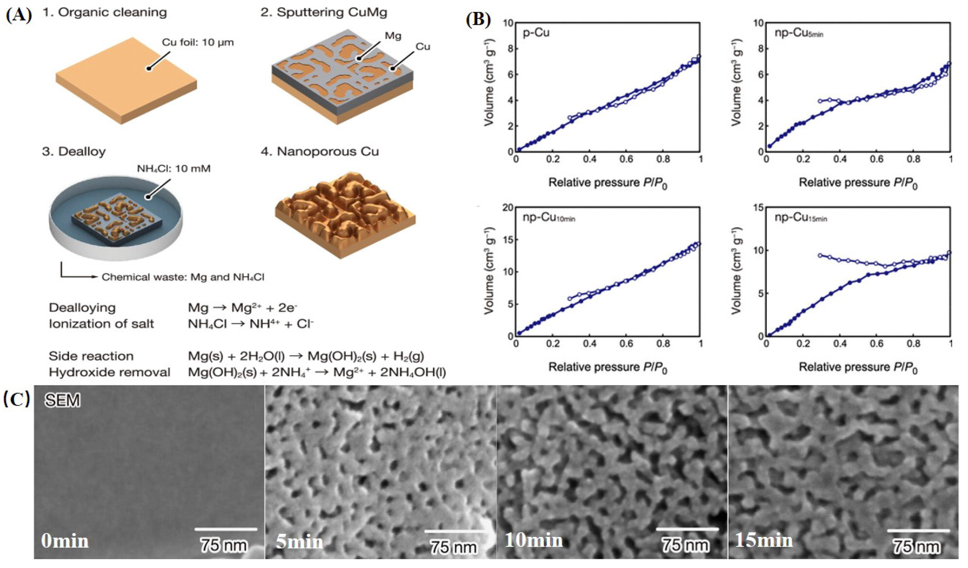 Catalysts 14 00936 g029