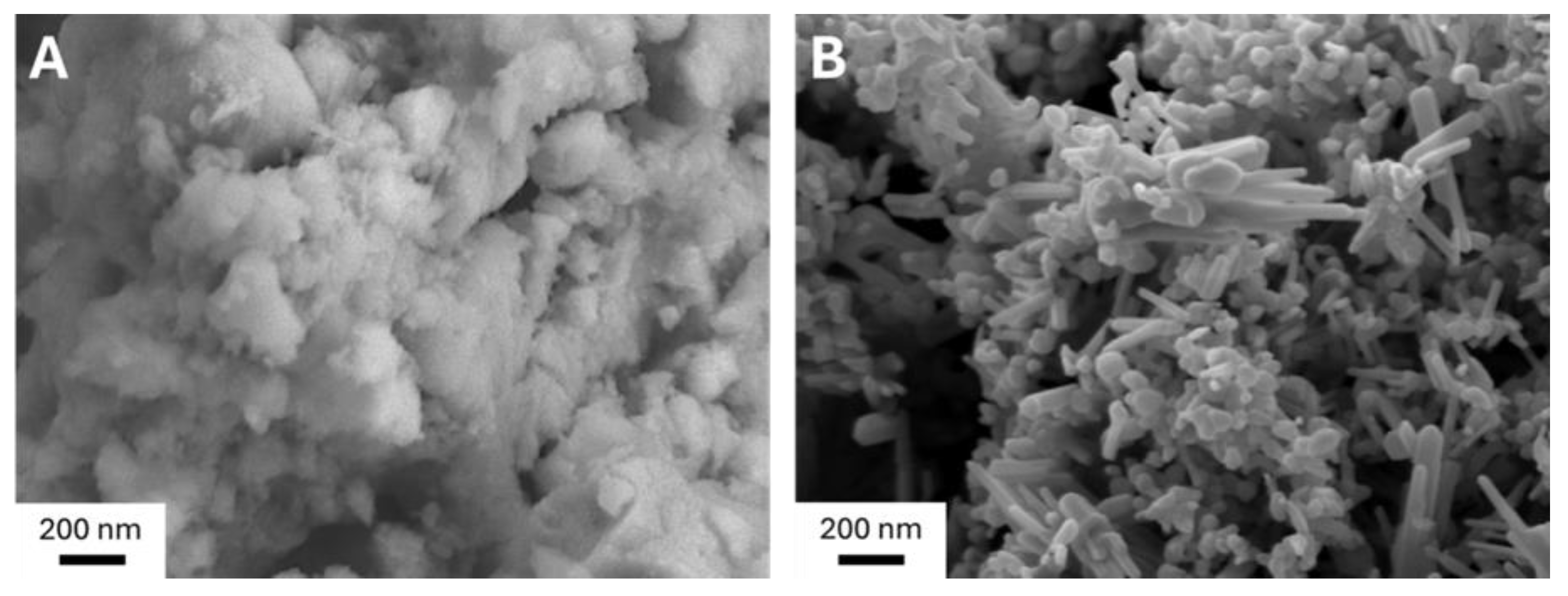 Catalysts 15 00004 g002