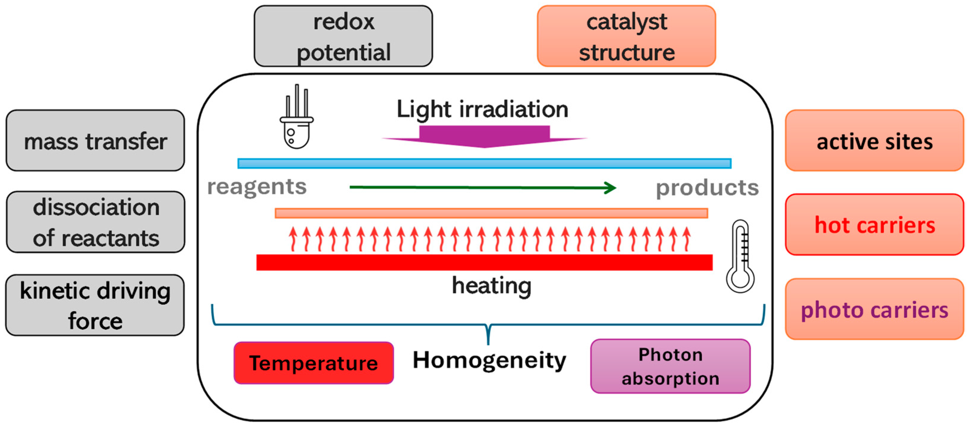 Catalysts 15 00007 g001