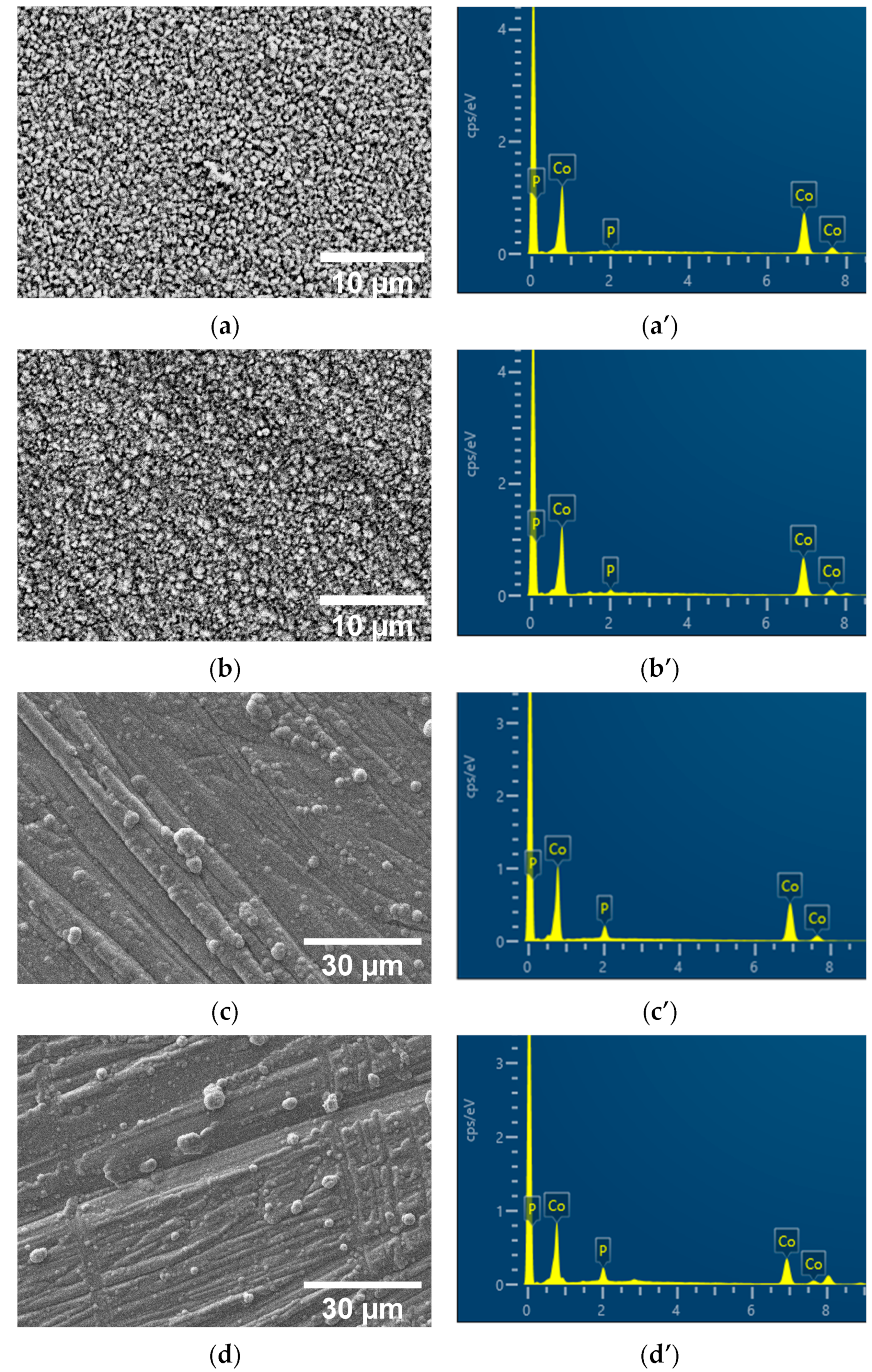 Catalysts 15 00008 g001a