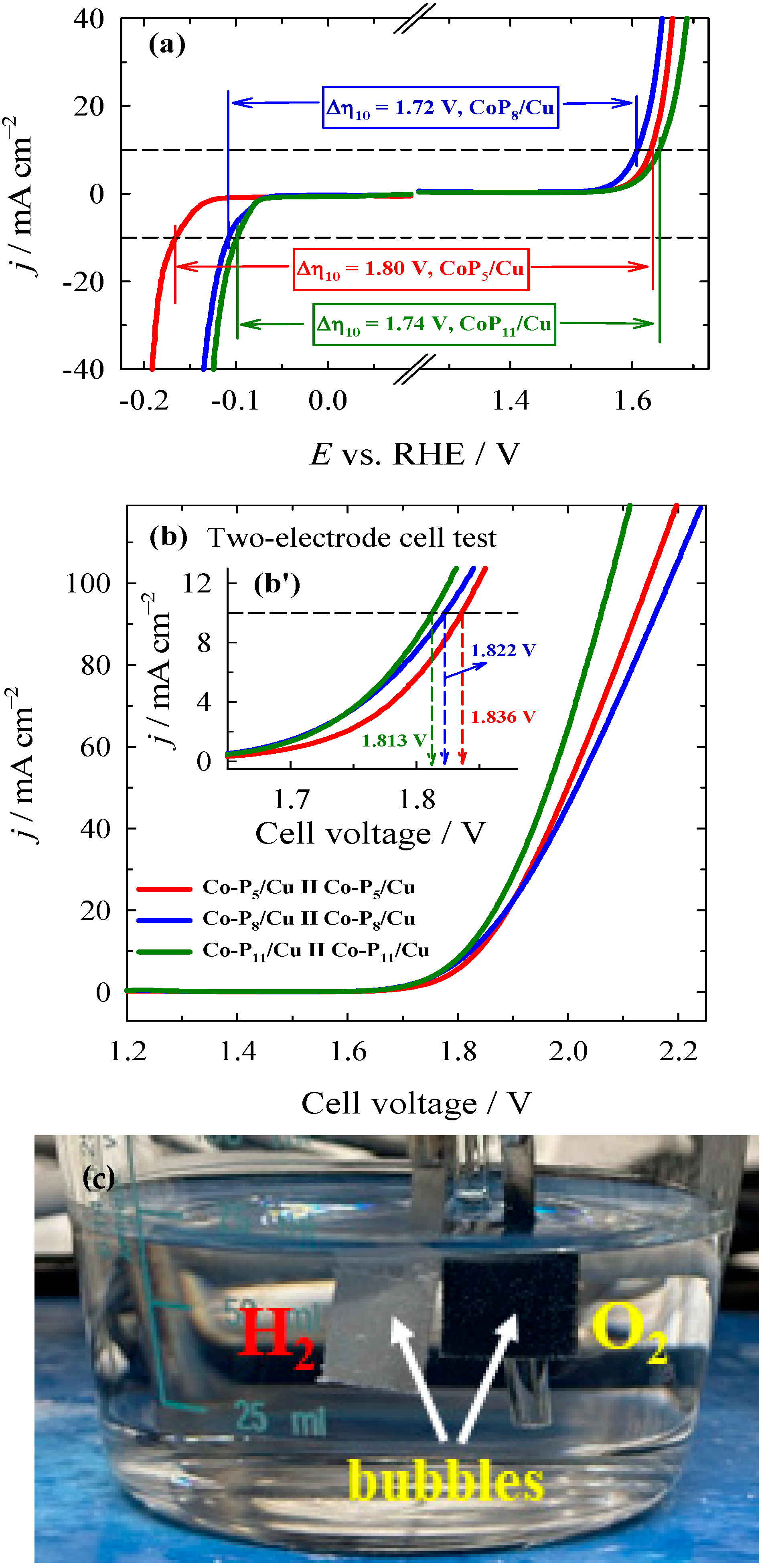 Catalysts 15 00008 g006