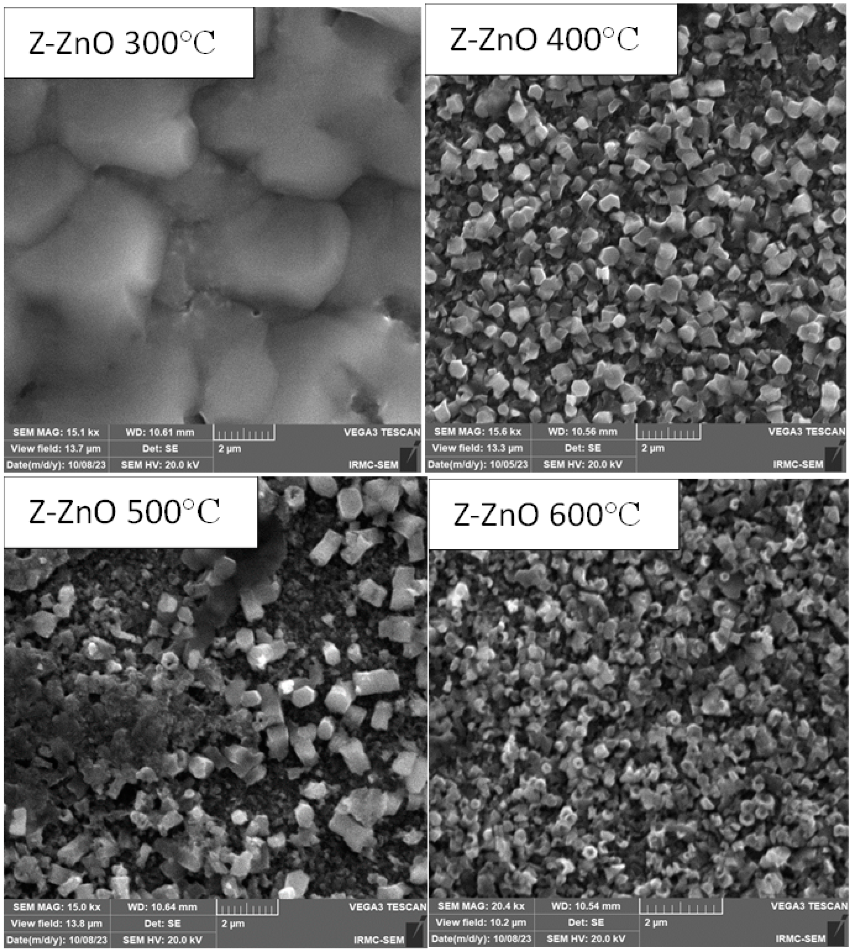 Catalysts 15 00071 g003