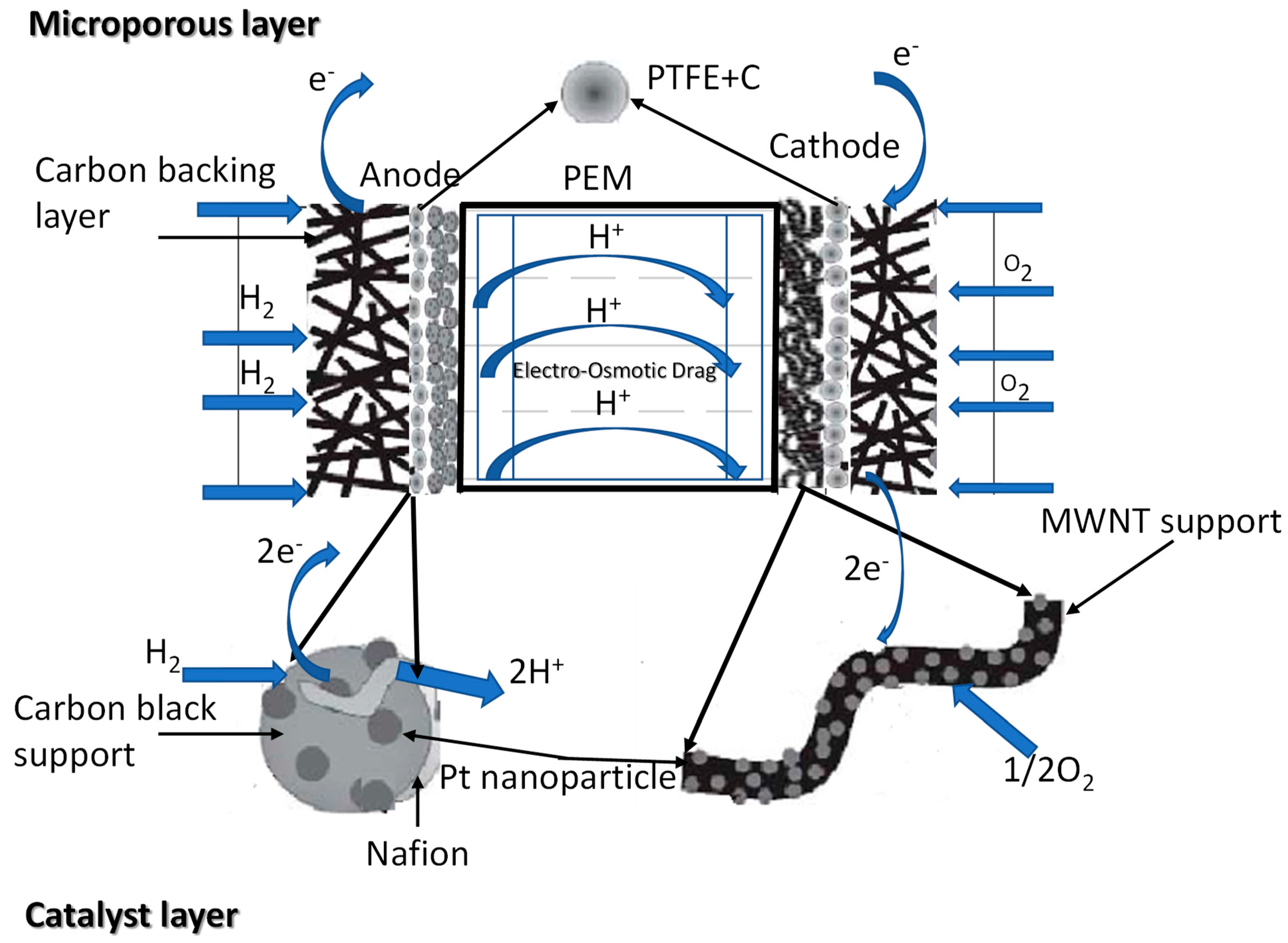 Catalysts 15 00097 g003 Catalysts 15 00097 g003