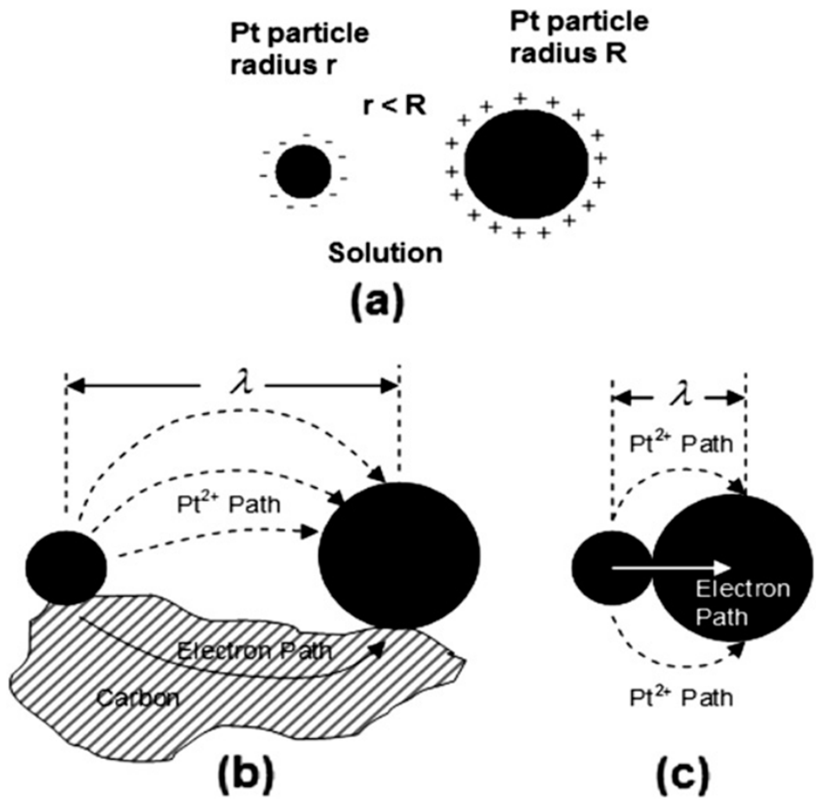 Catalysts 15 00097 g004 Catalysts 15 00097 g004