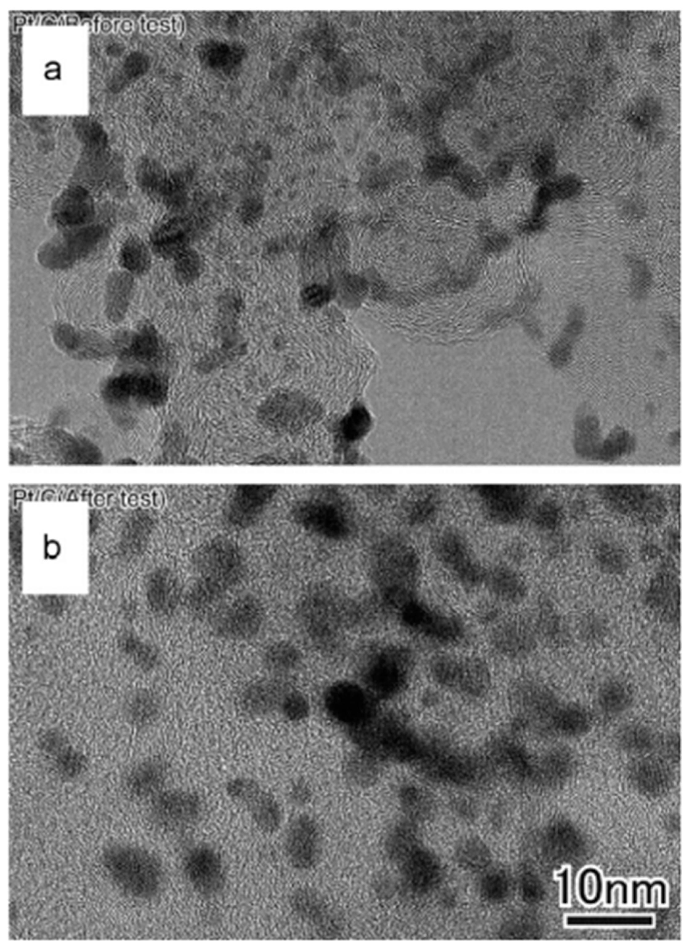 Catalysts 15 00097 g008 Catalysts 15 00097 g008