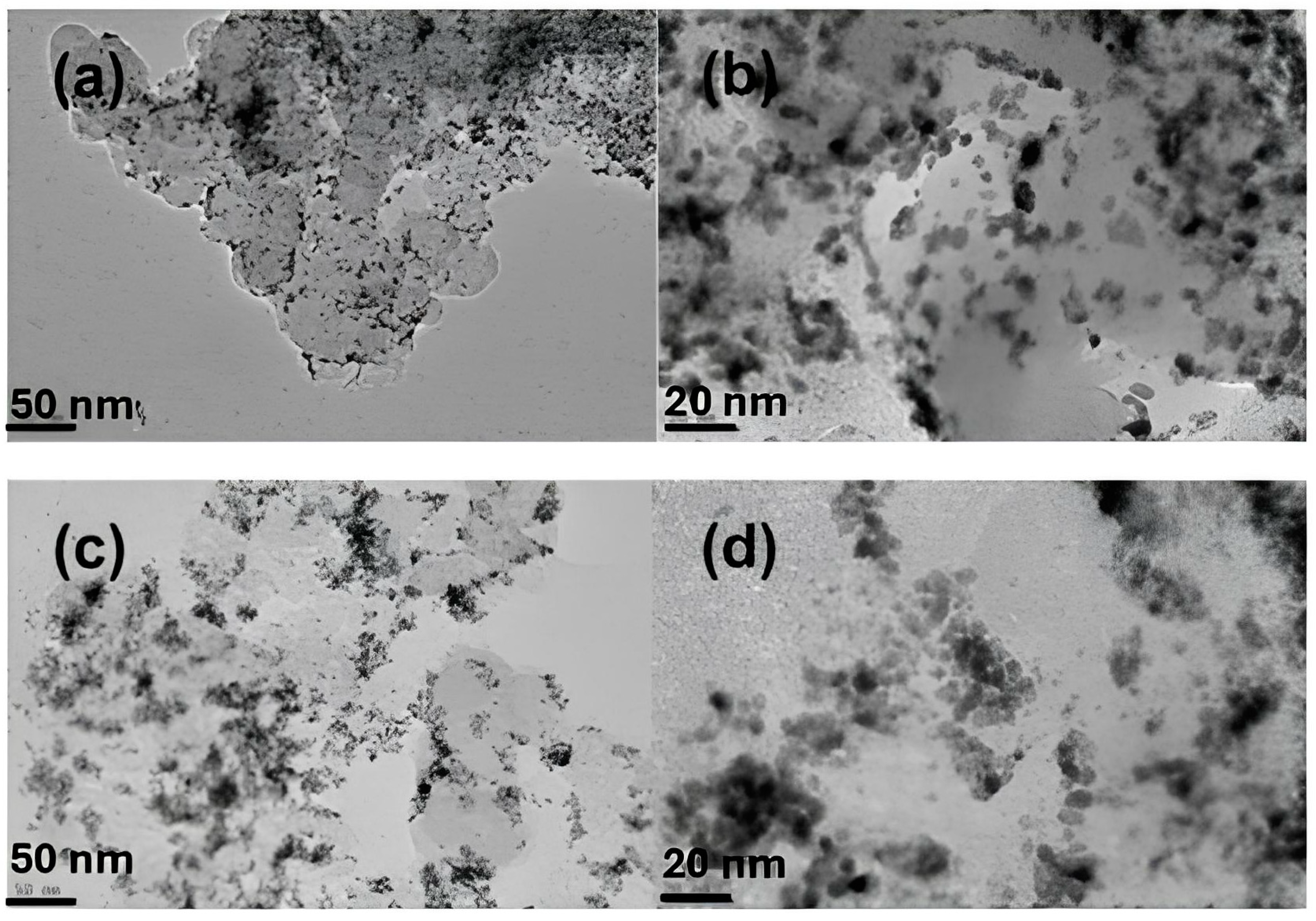 Catalysts 15 00097 g009 Catalysts 15 00097 g009