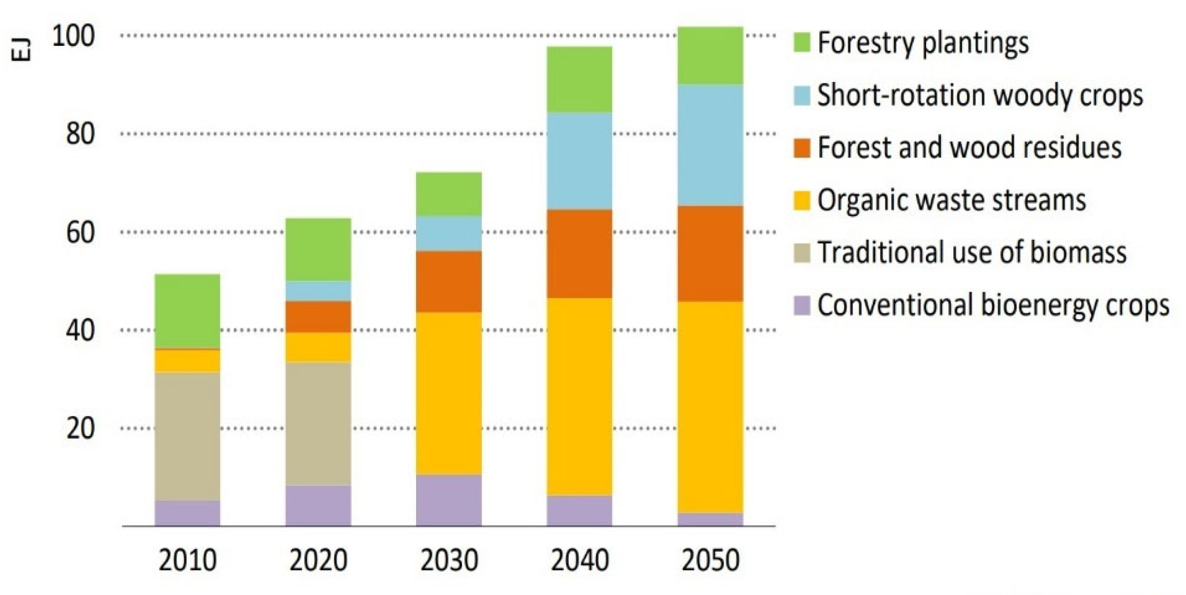 Catalysts 15 00105 g003 Catalysts 15 00105 g003