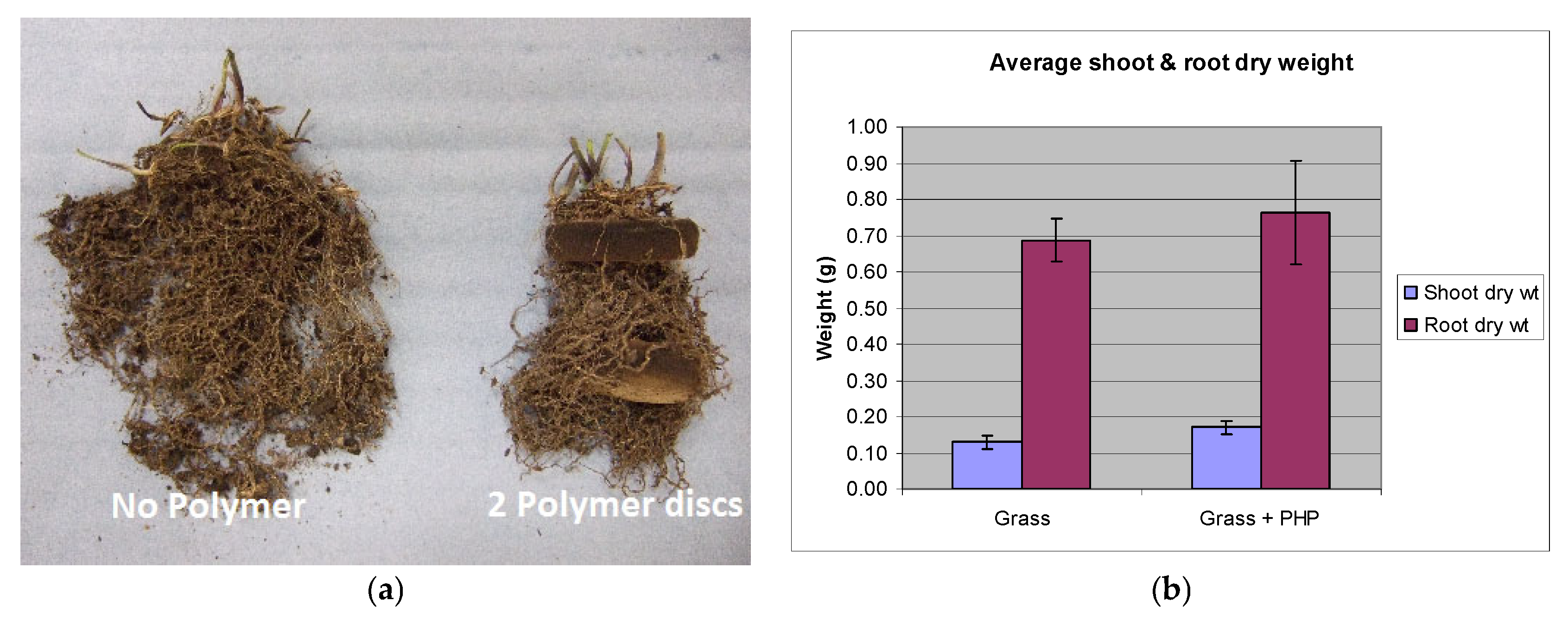 Catalysts 15 00105 g007 Catalysts 15 00105 g007