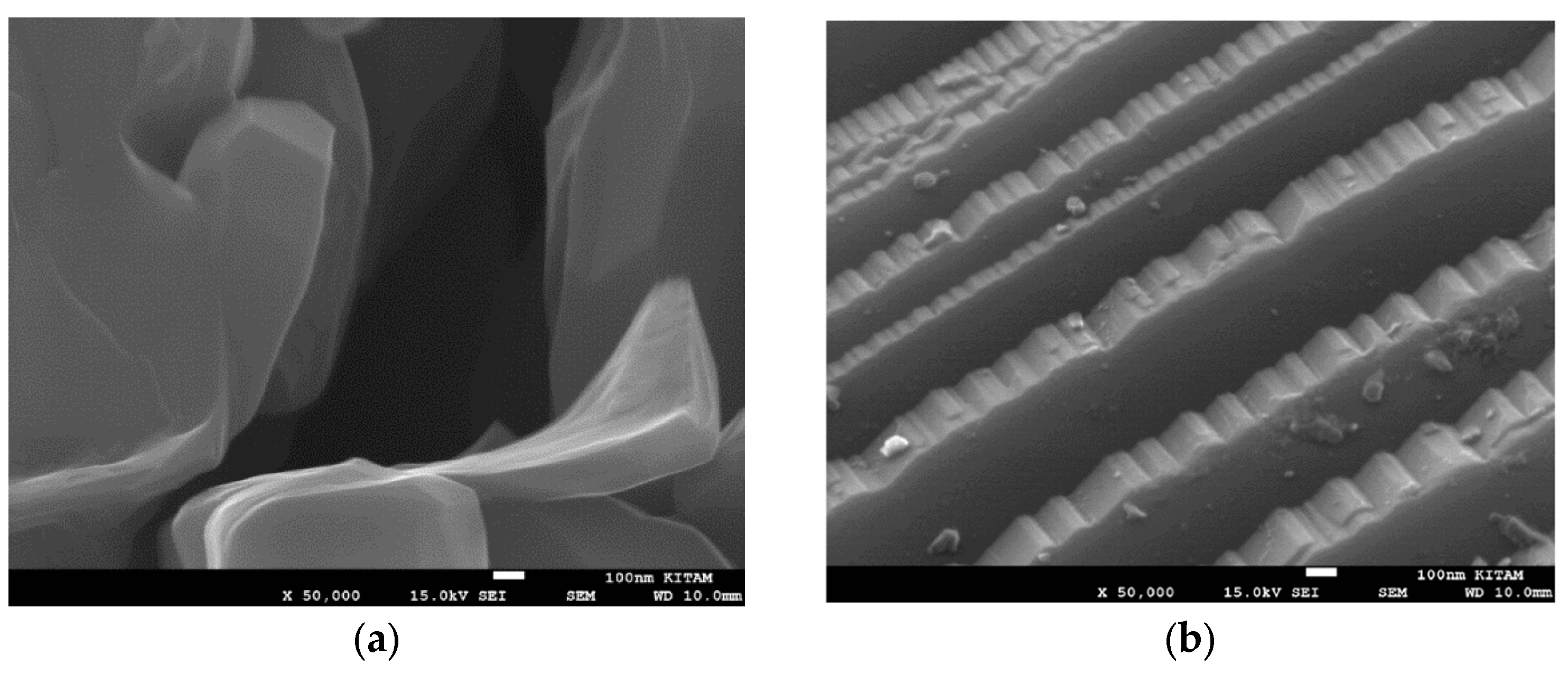 Catalysts 15 00105 g034 Catalysts 15 00105 g034