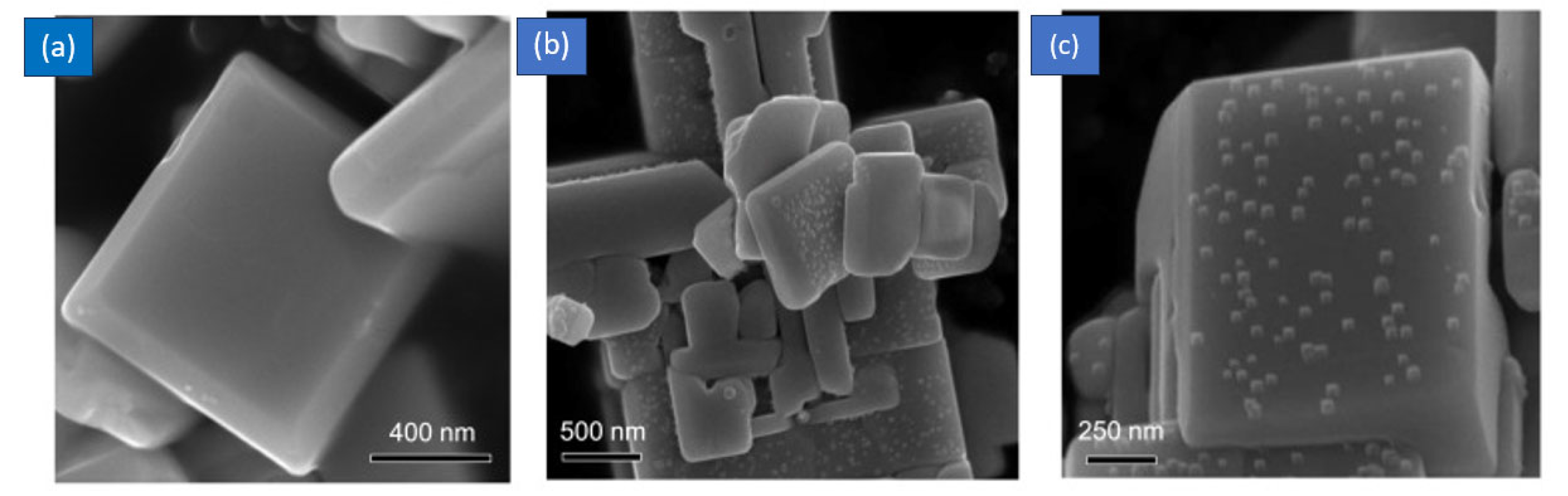 Catalysts 15 00105 g039 Catalysts 15 00105 g039