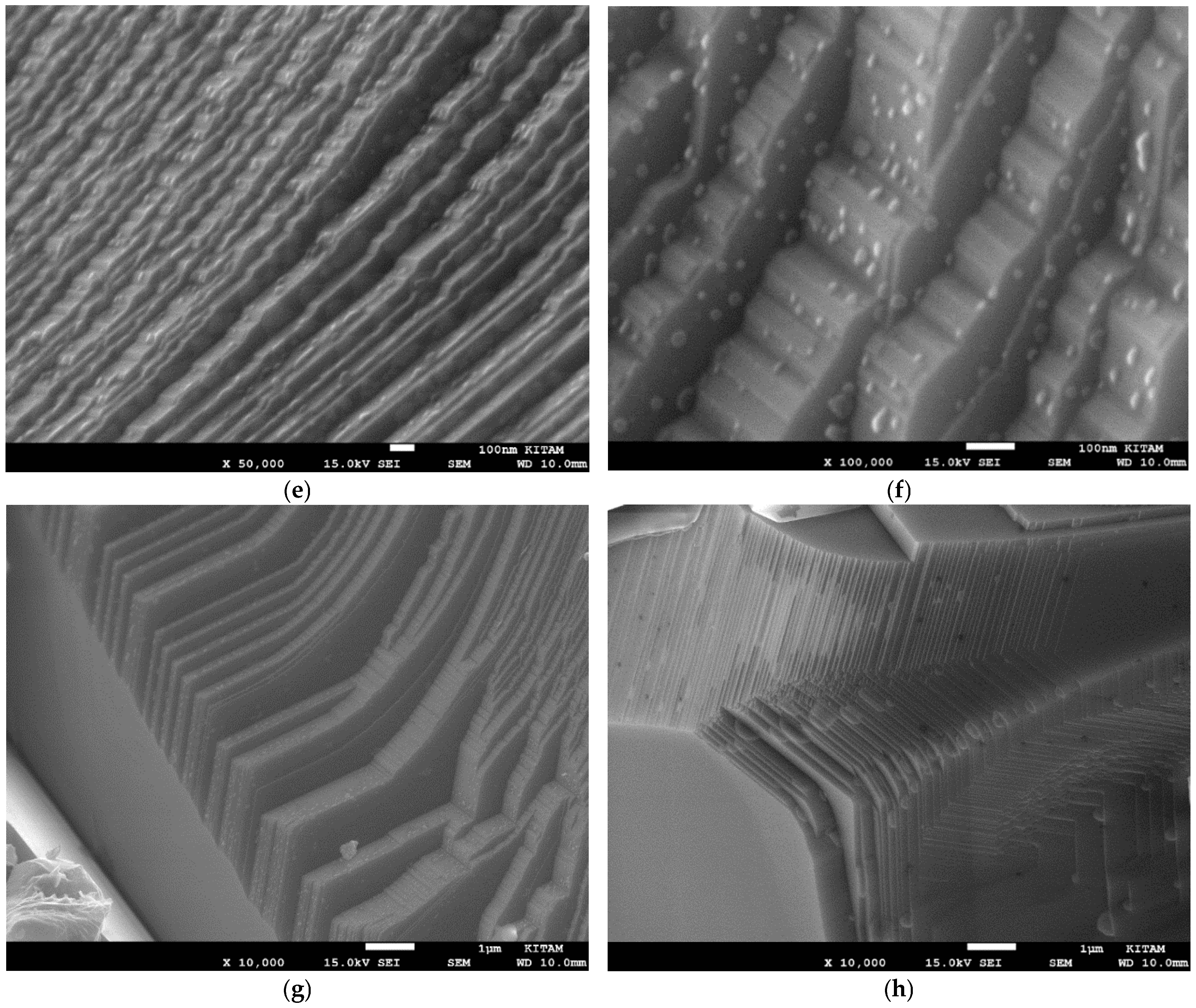 Catalysts 15 00105 g042b Catalysts 15 00105 g042b