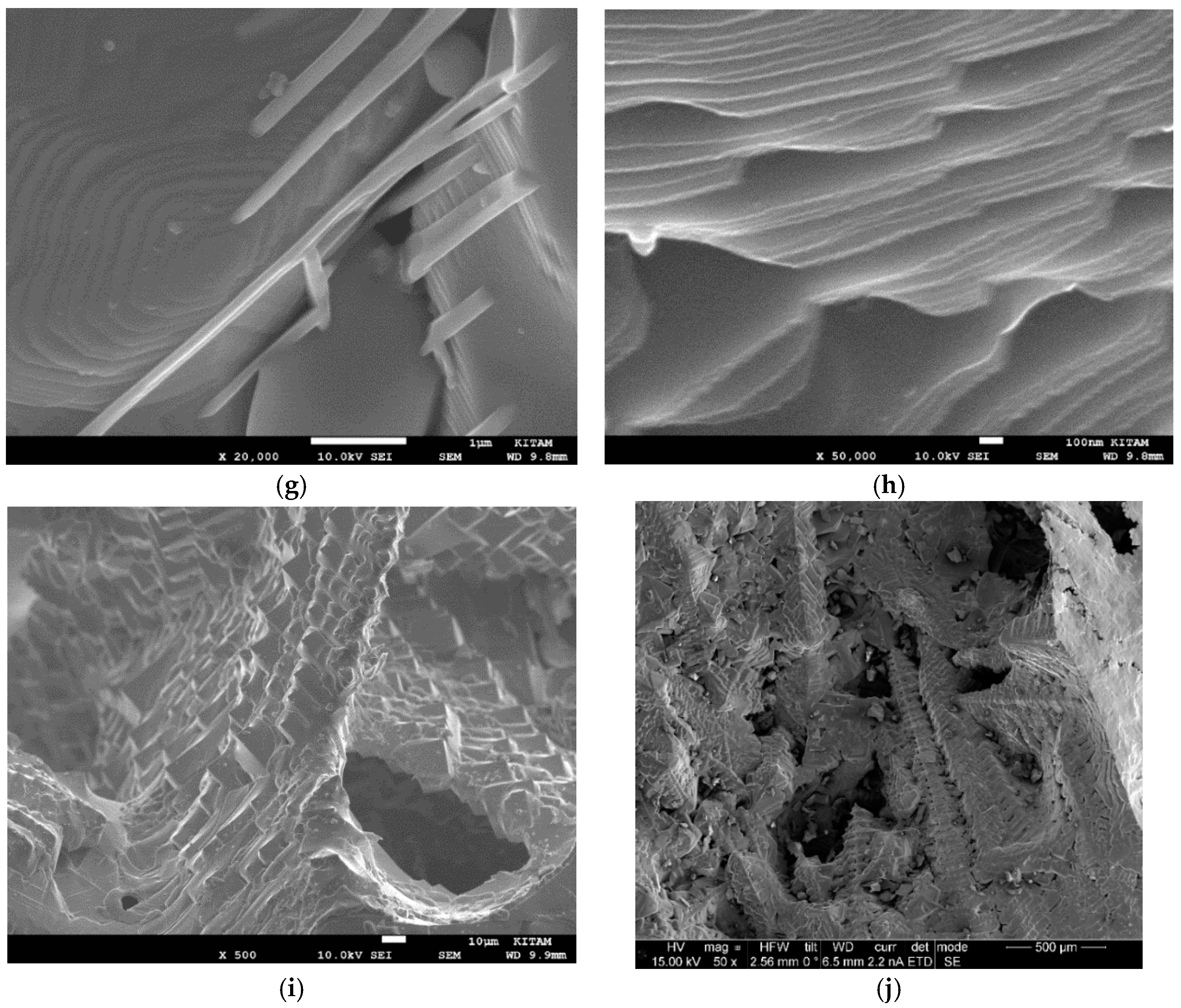 Catalysts 15 00105 g044b Catalysts 15 00105 g044b