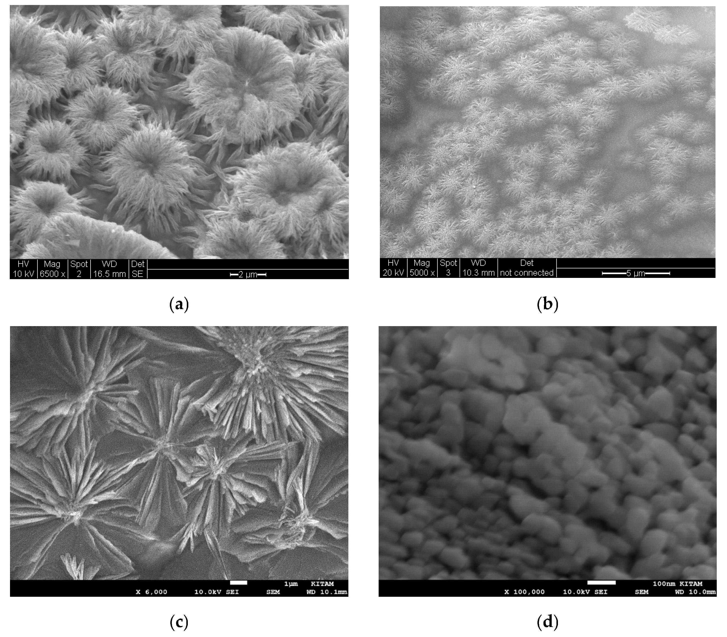 Catalysts 15 00105 g048 Catalysts 15 00105 g048
