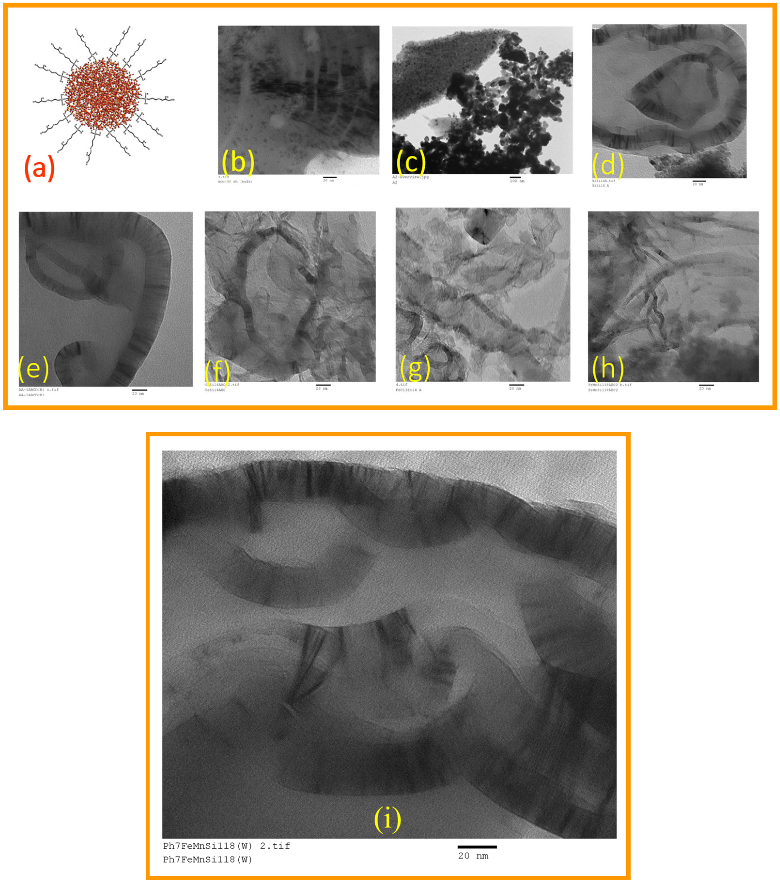Catalysts 15 00105 g050 Catalysts 15 00105 g050