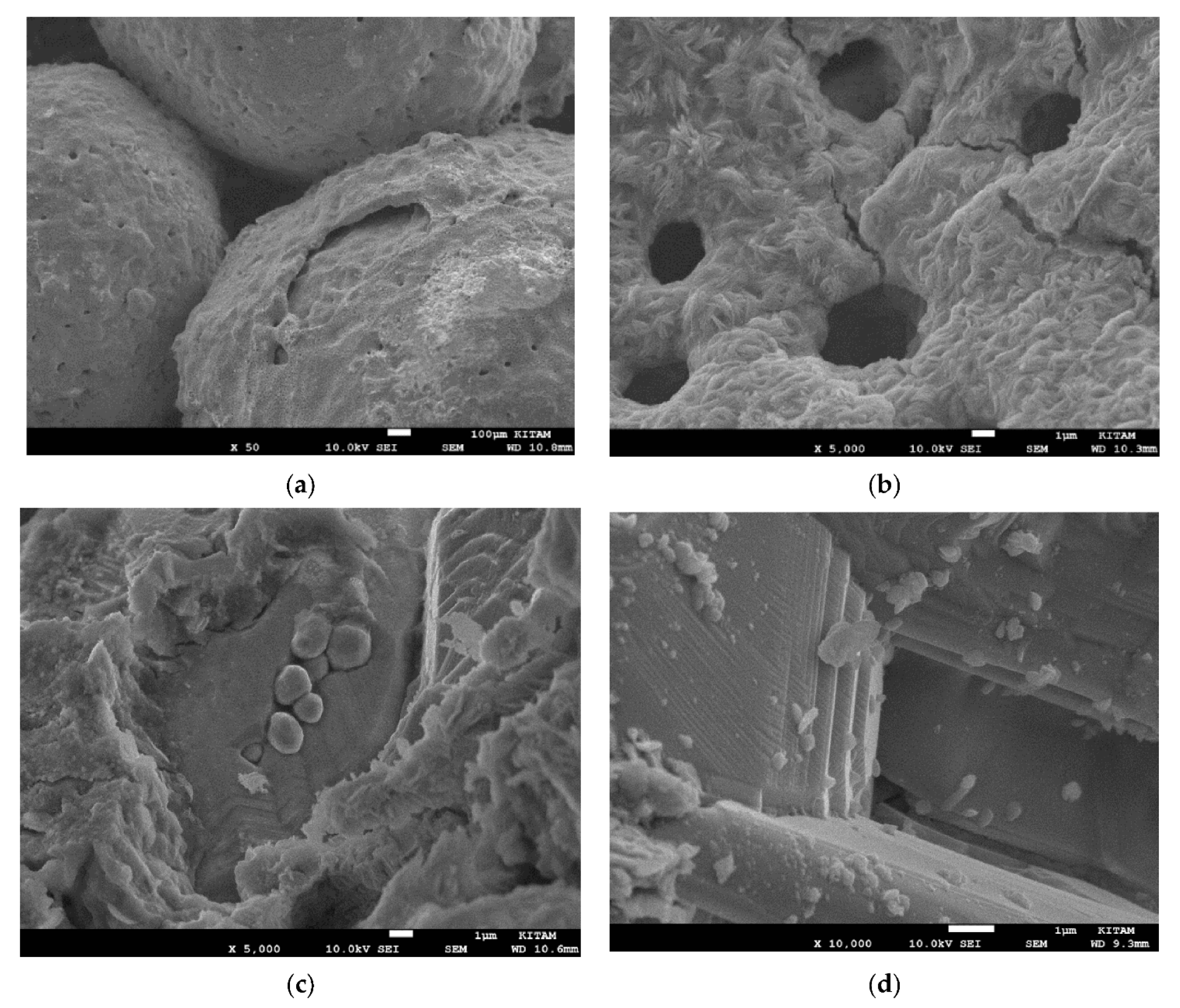 Catalysts 15 00105 g051 Catalysts 15 00105 g051