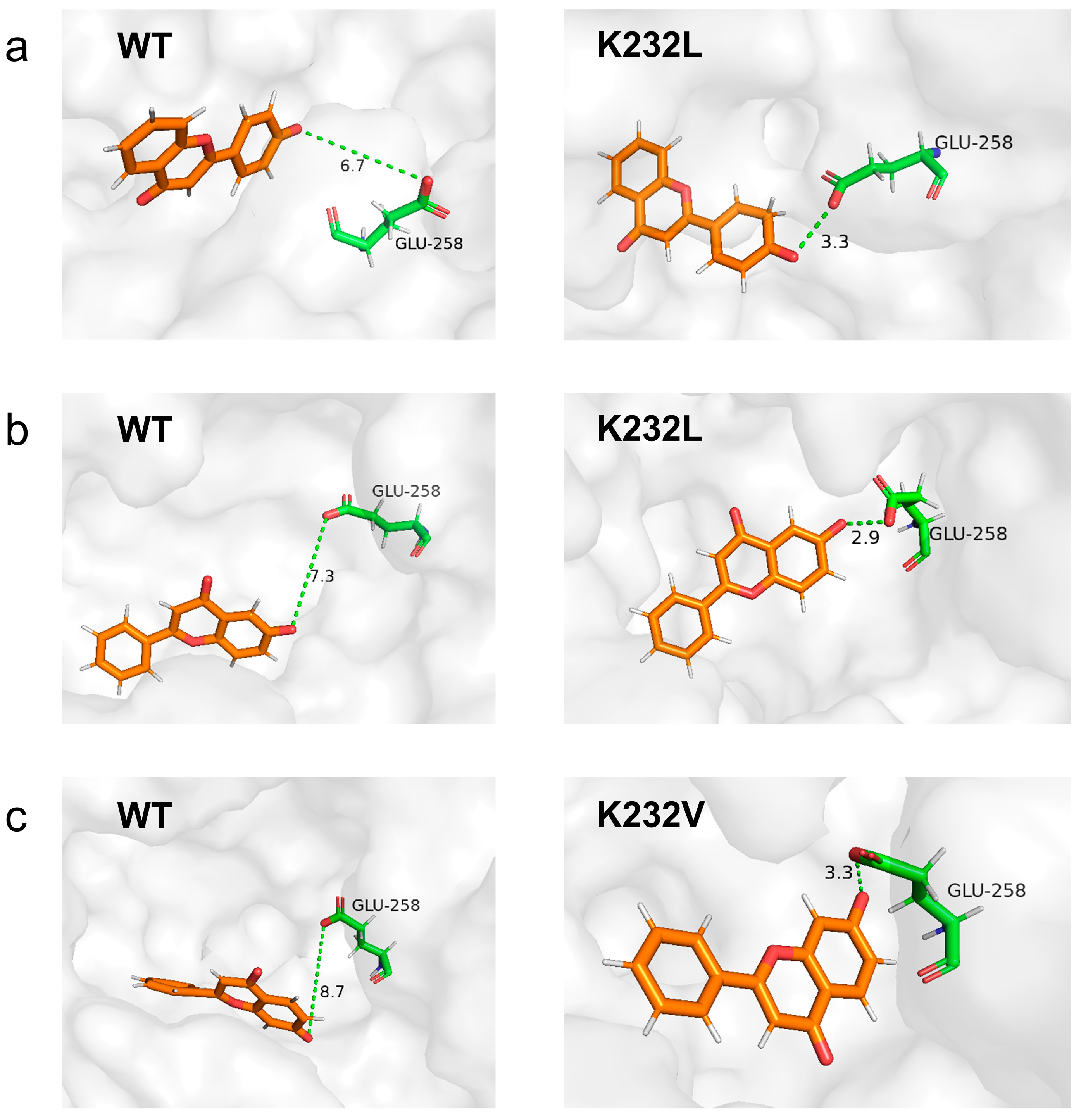 Catalysts 15 00120 g004