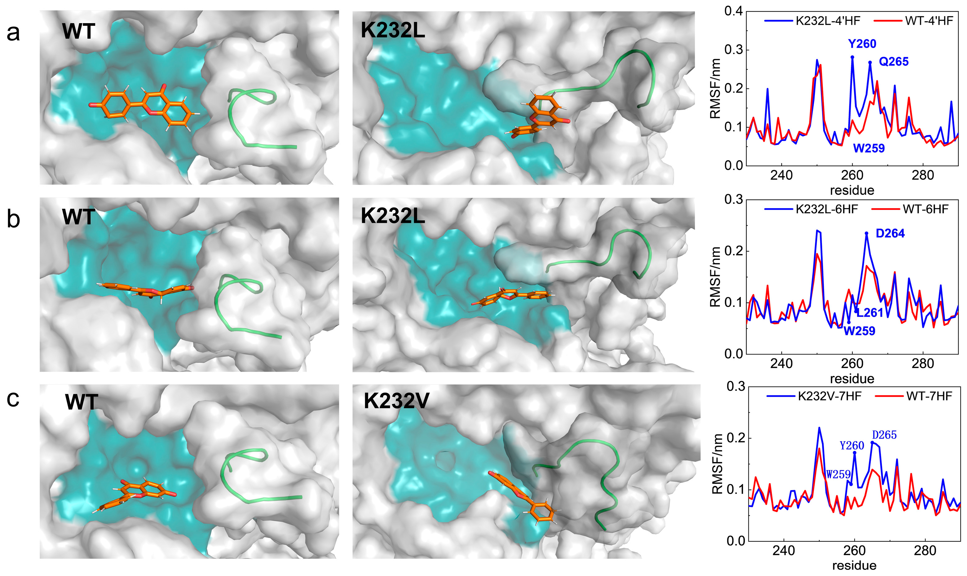 Catalysts 15 00120 g006