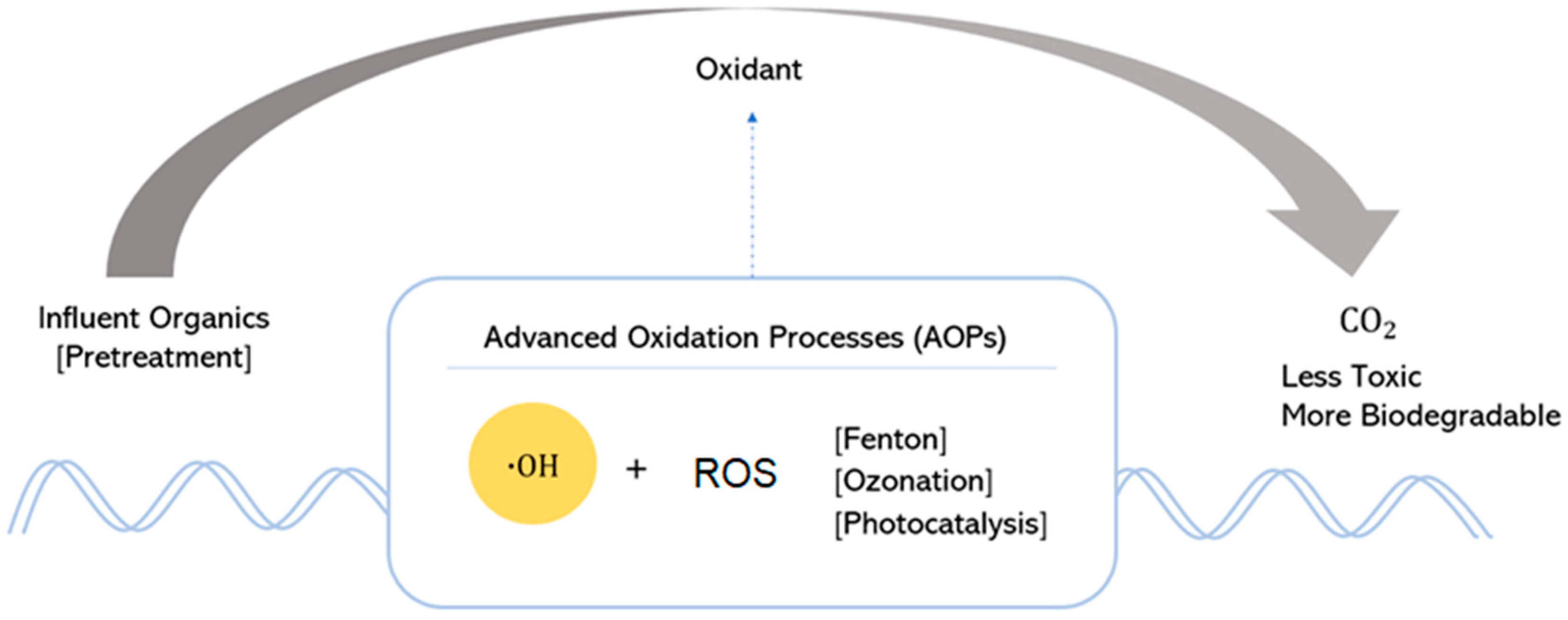 Catalysts 15 00134 g002
