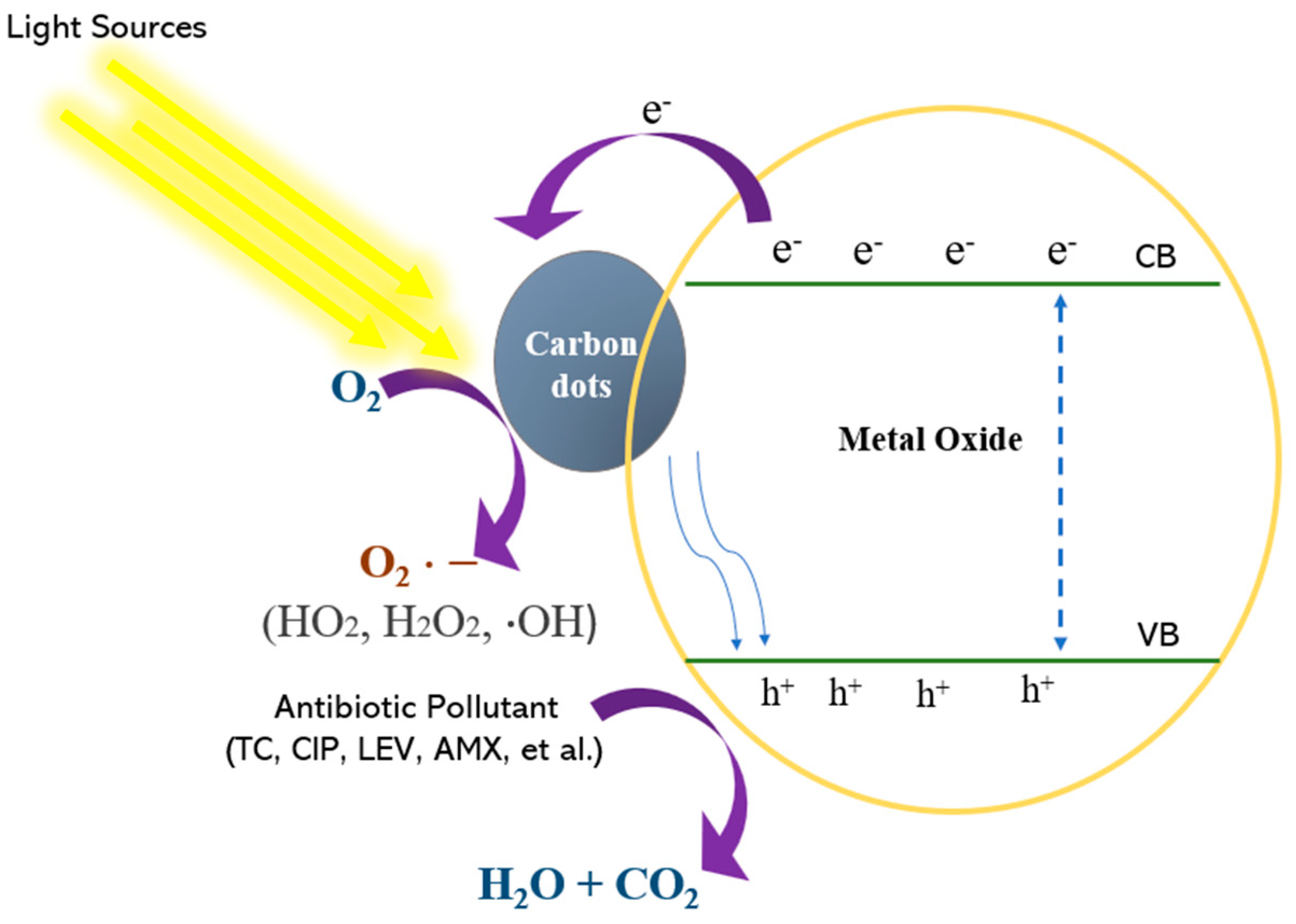 Catalysts 15 00134 g008