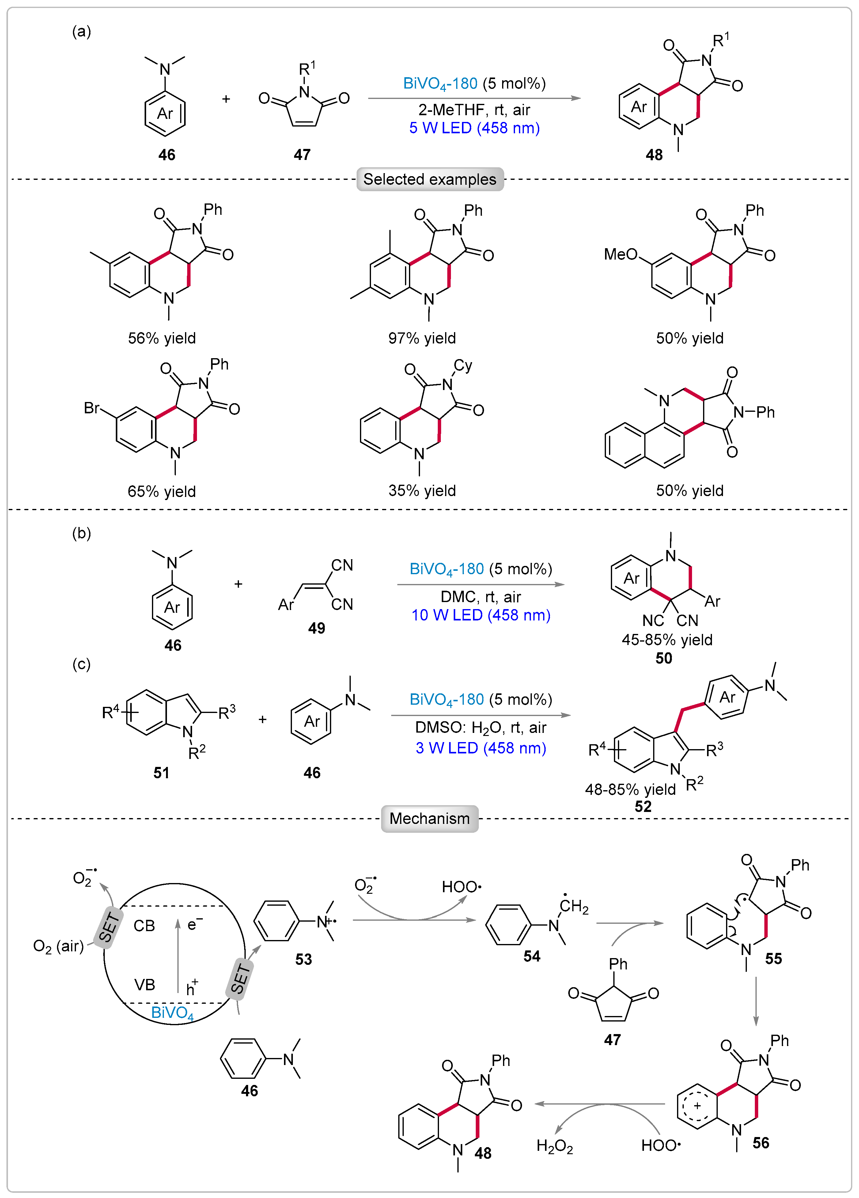 Catalysts 15 00135 sch010