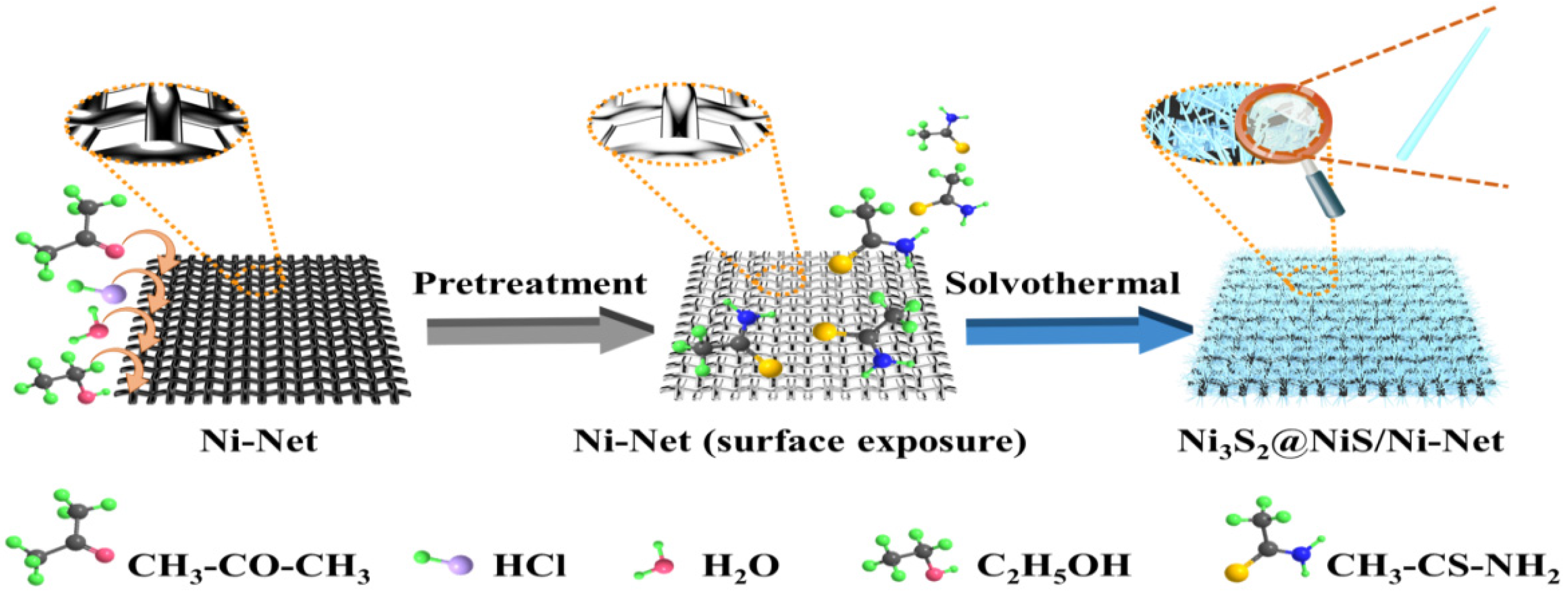 Catalysts 15 00136 g001