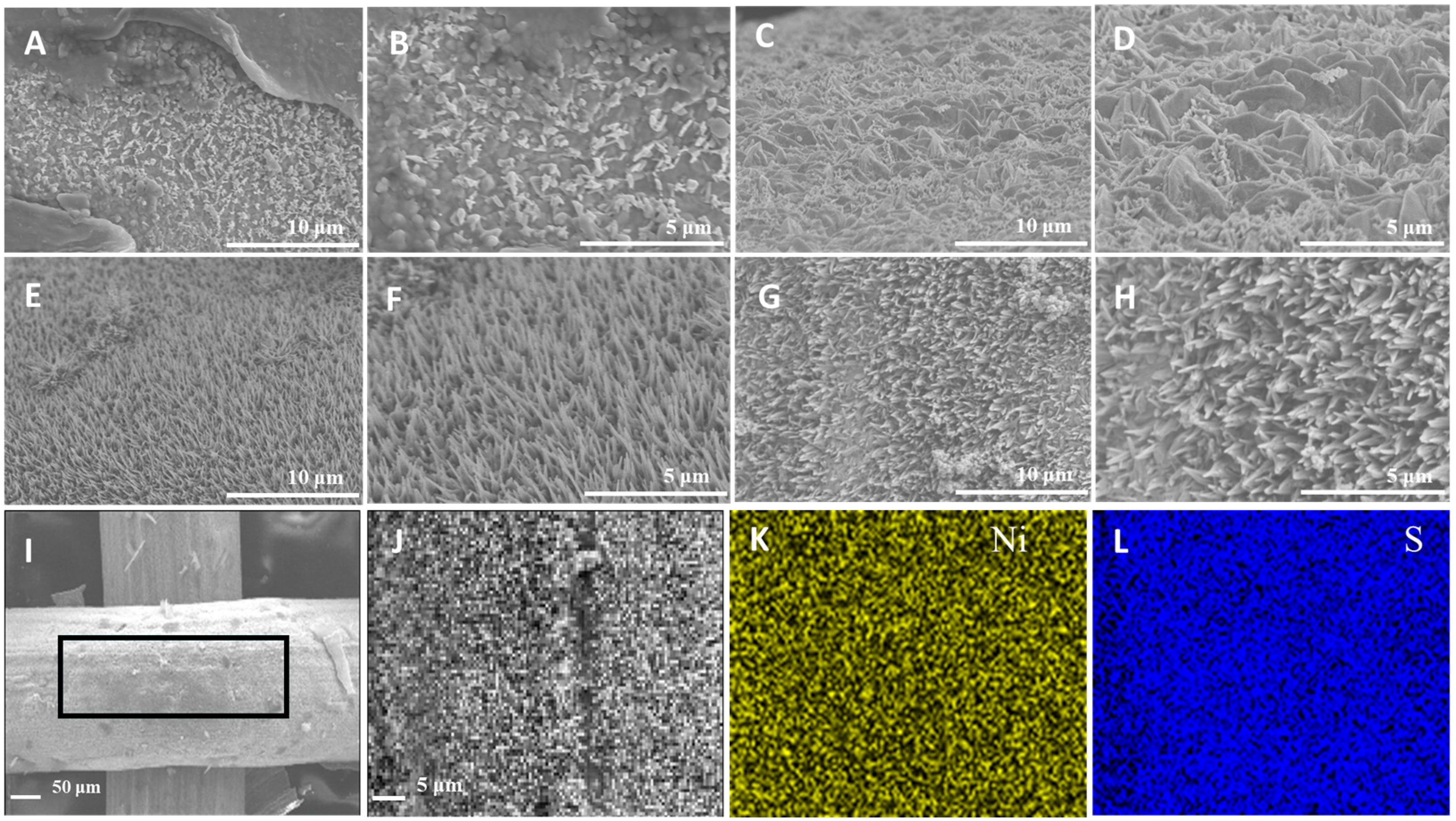 Catalysts 15 00136 g003