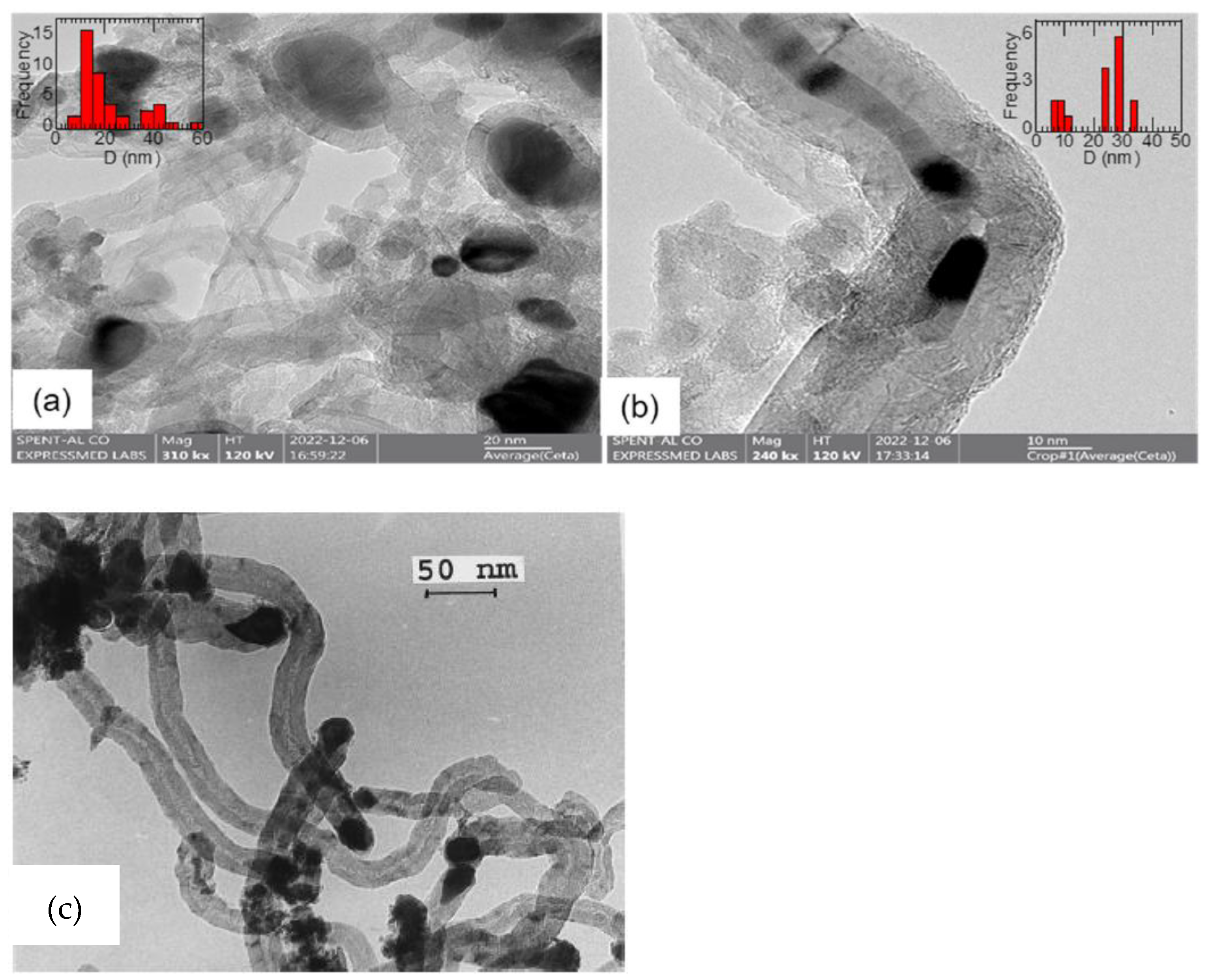 Catalysts 15 00145 g014