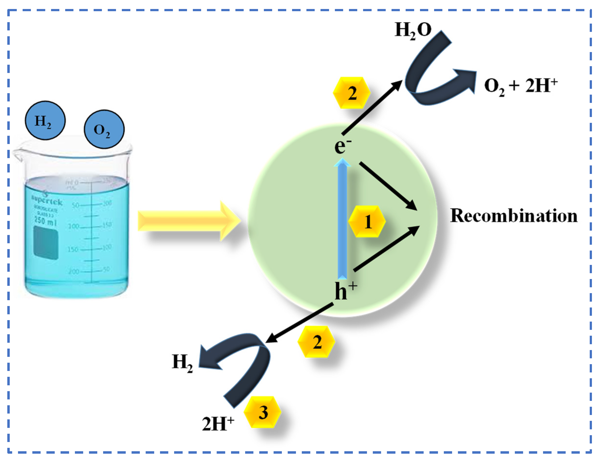 Catalysts 15 00165 sch002