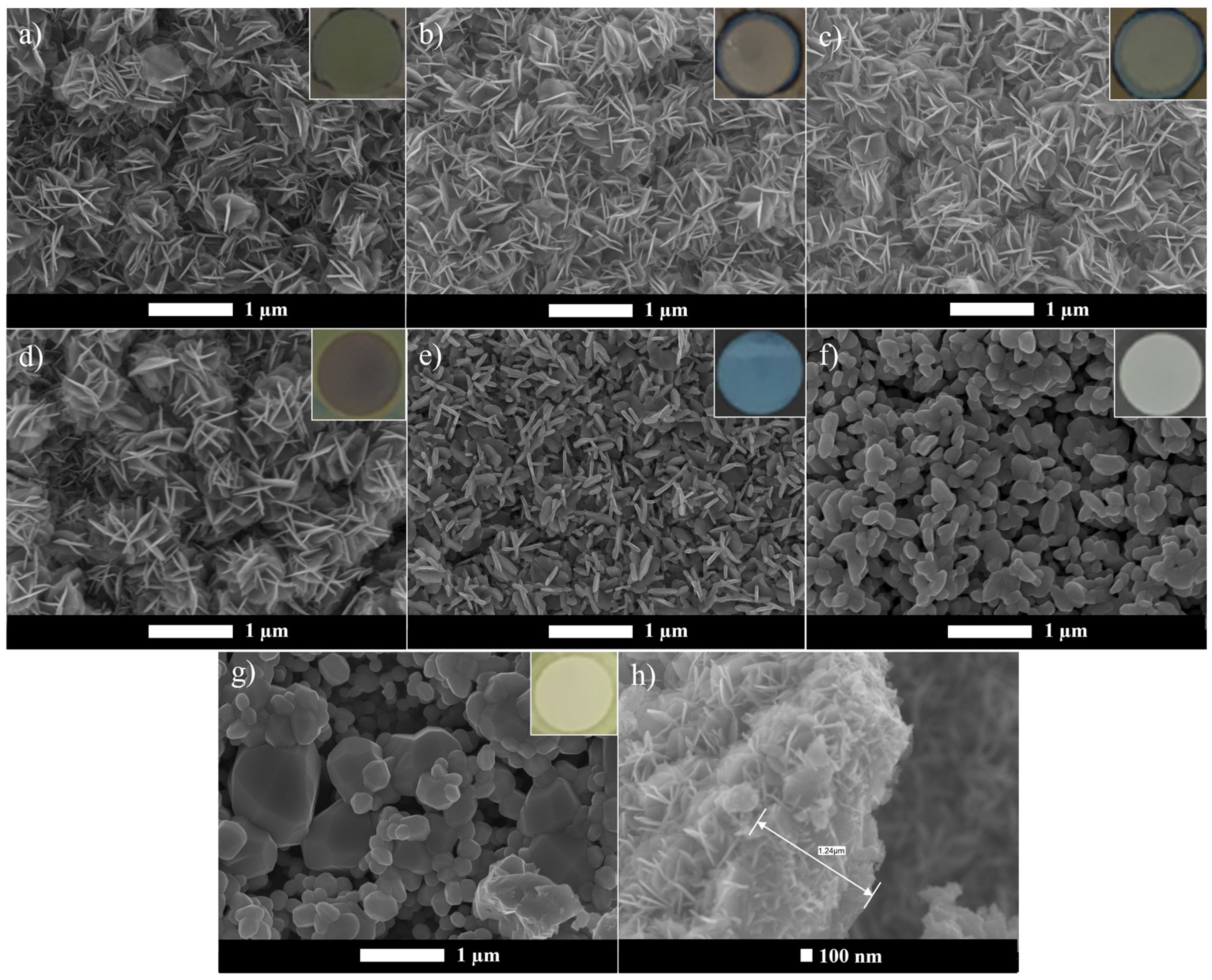 Catalysts 15 00207 g001 Catalysts 15 00207 g001