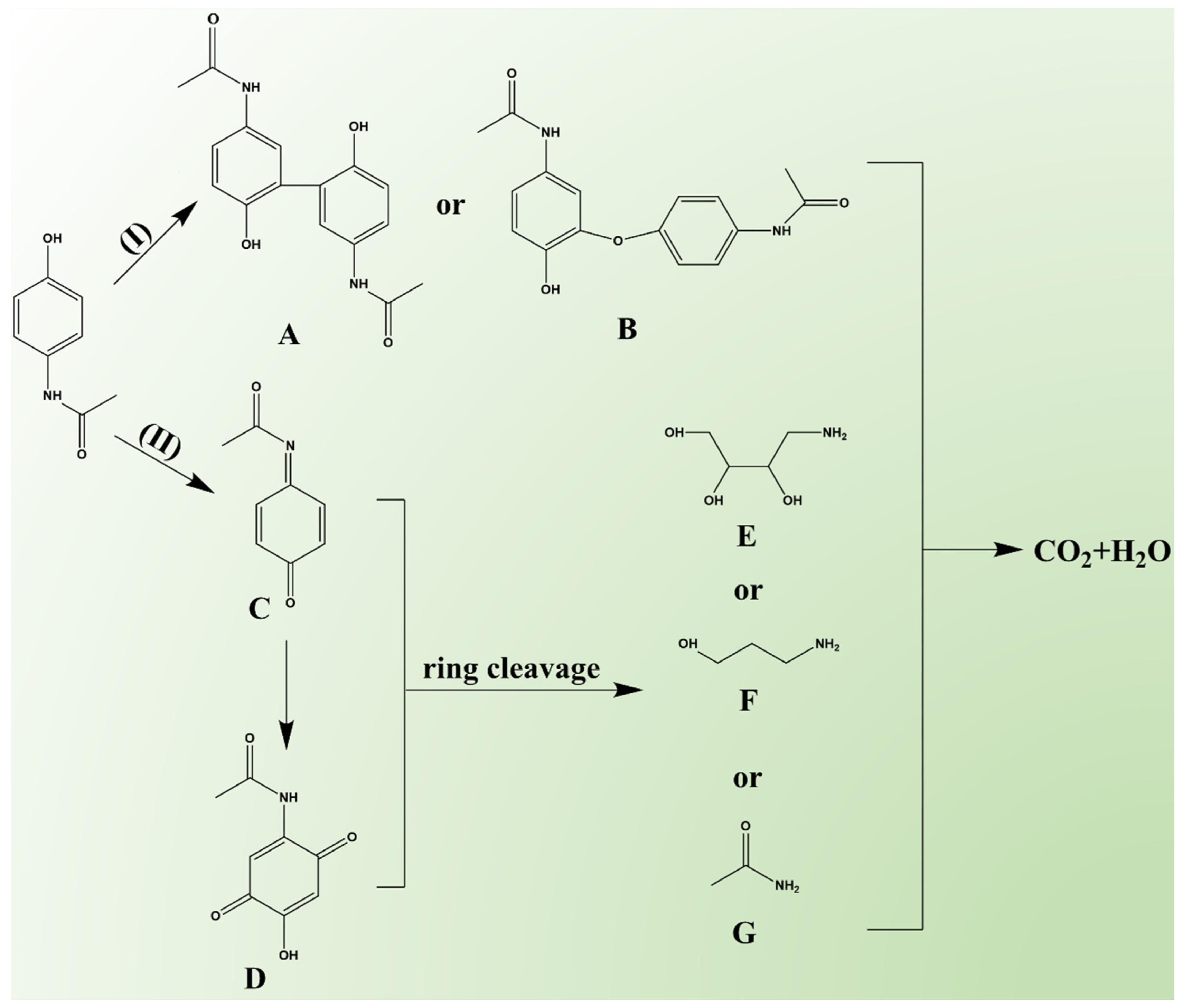 Catalysts 15 00217 g007