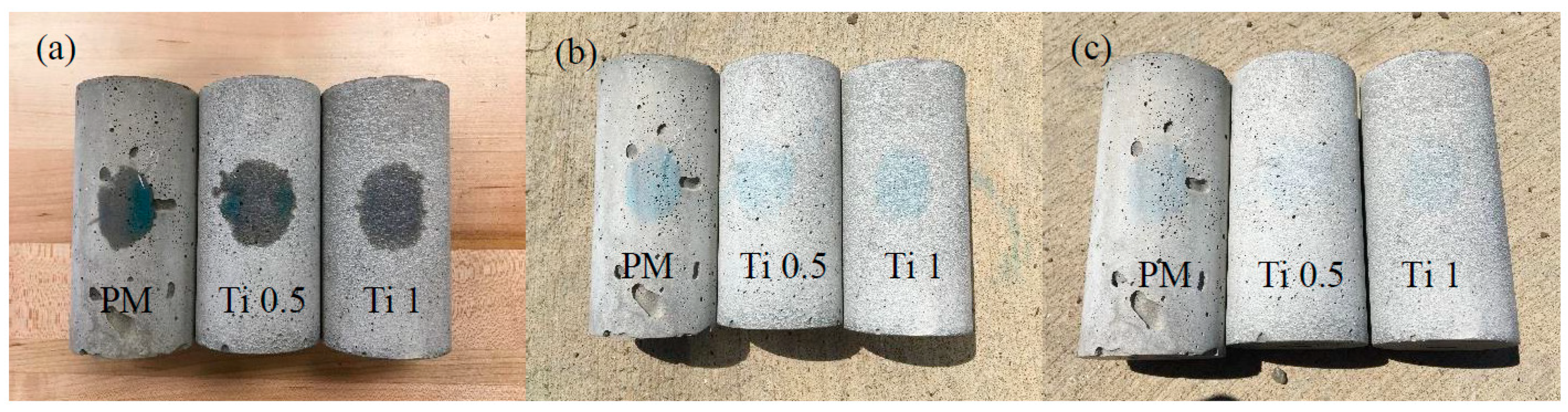 Catalysts 15 00249 g007