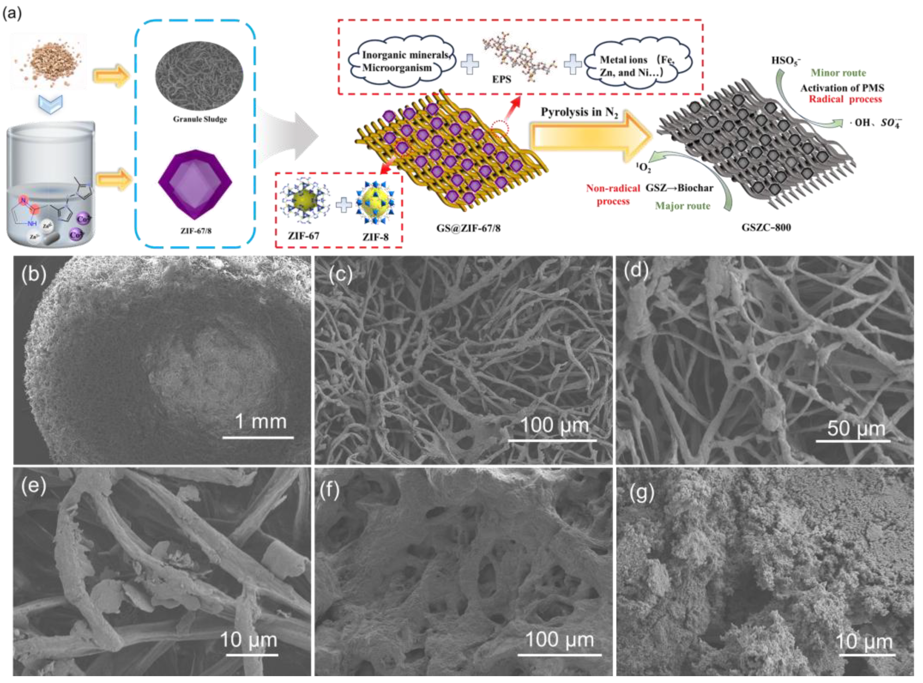 Catalysts 15 00264 g001
