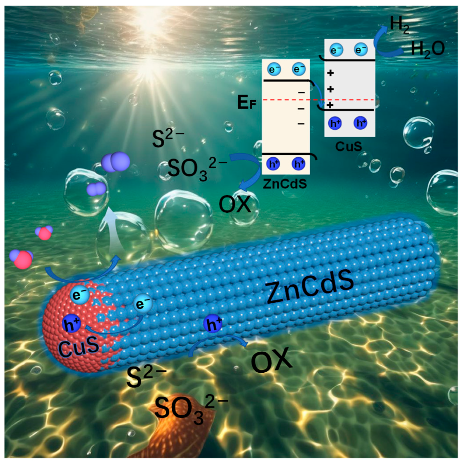 Catalysts 15 00266 g005