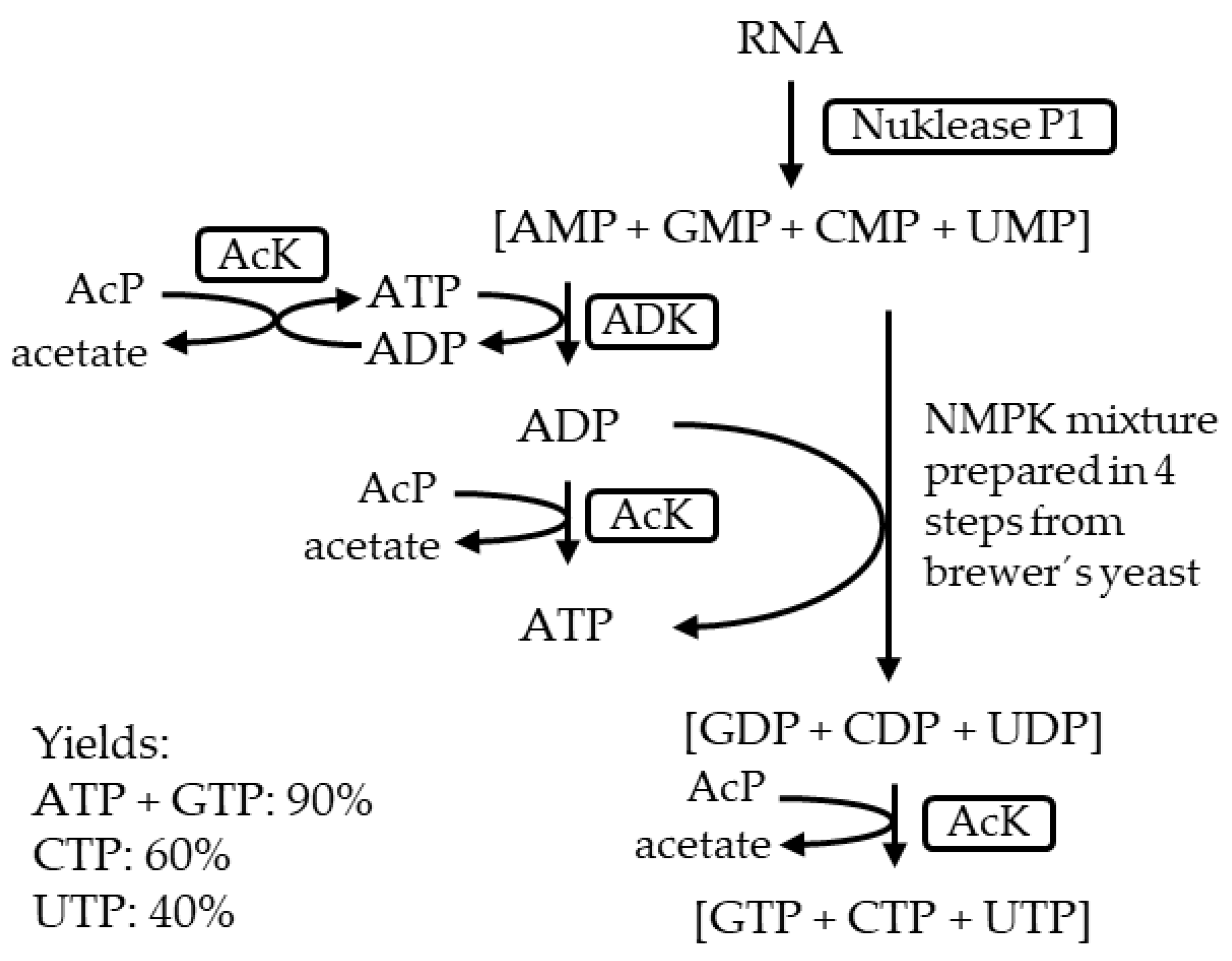 Catalysts 15 00270 g002