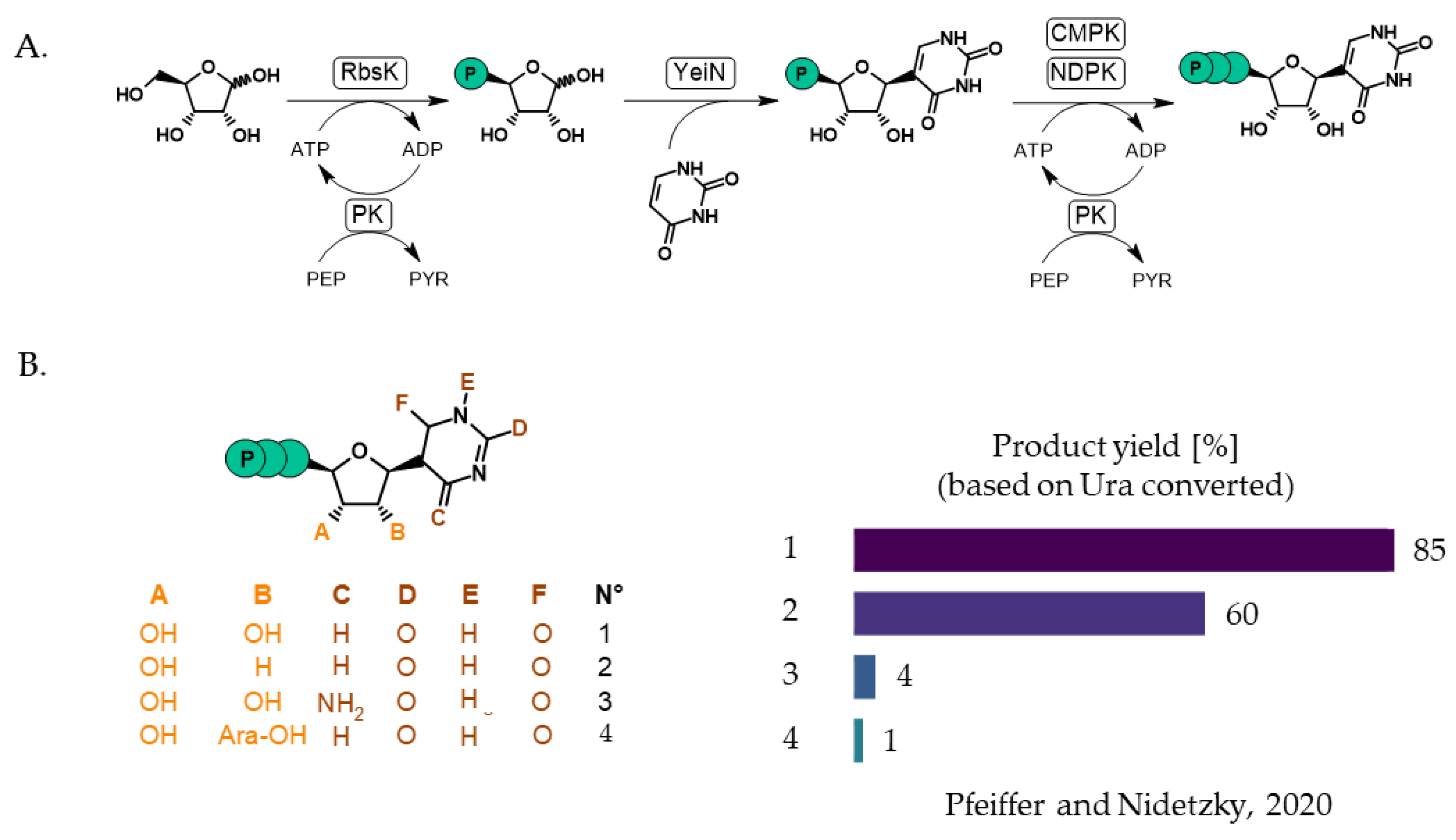 Catalysts 15 00270 g005