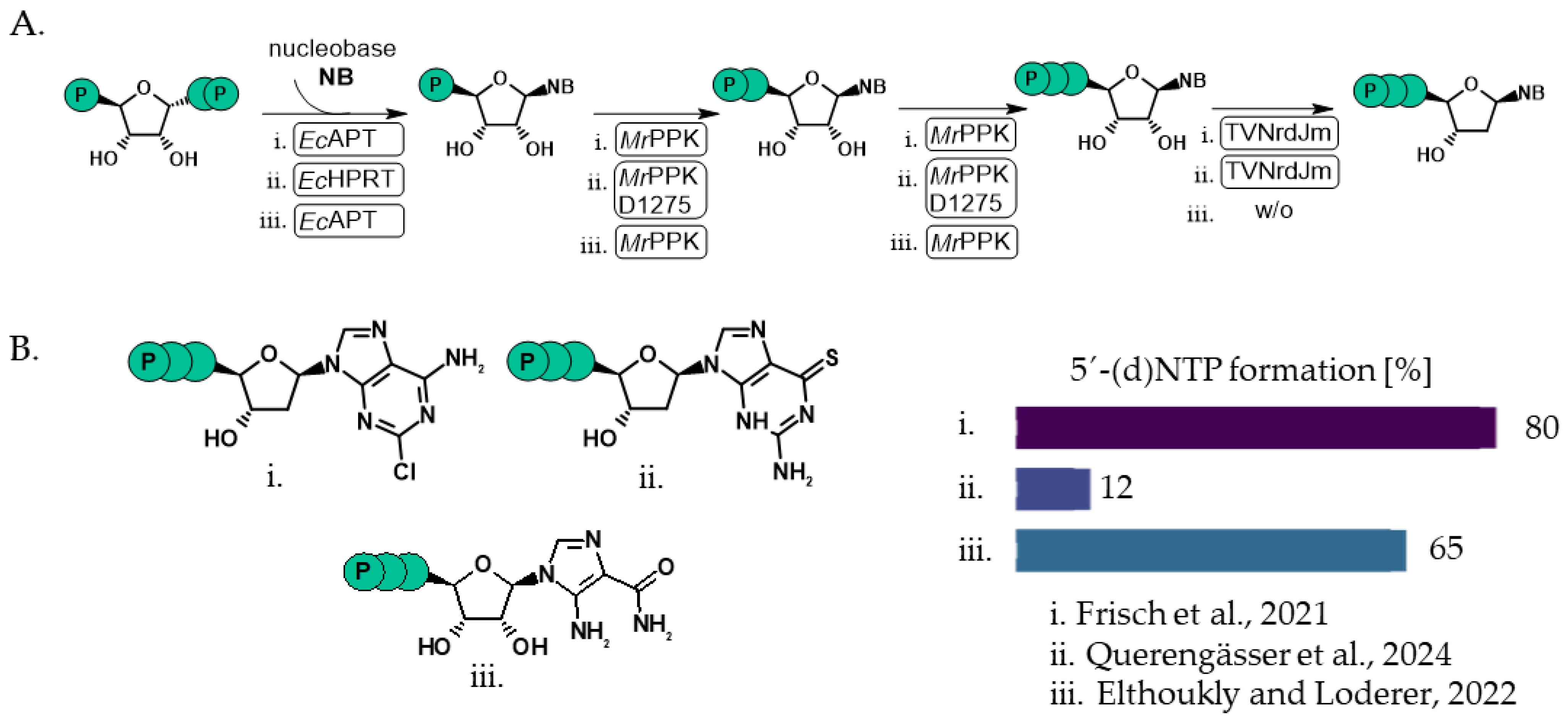 Catalysts 15 00270 g006