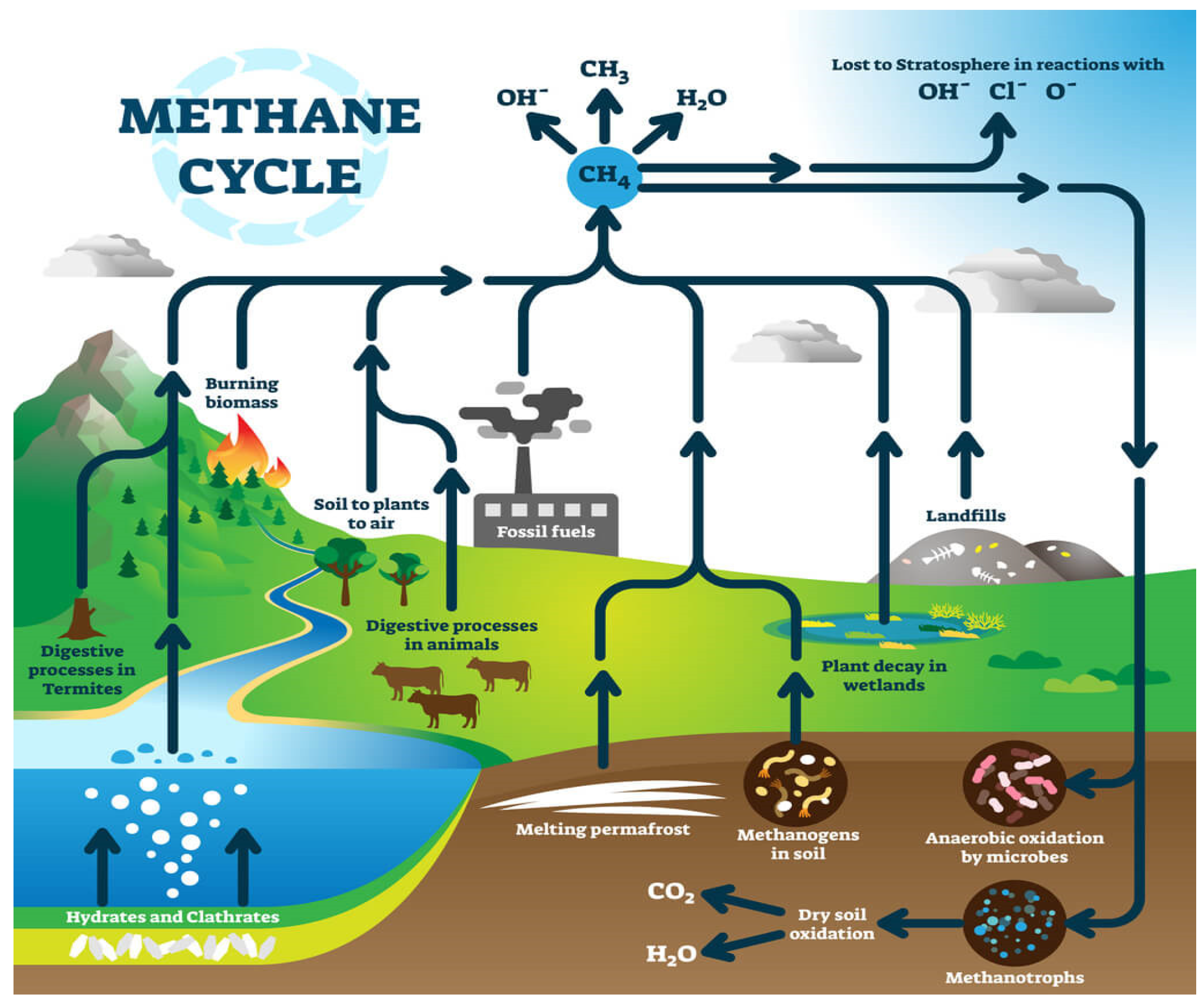 Catalysts 15 00287 g001
