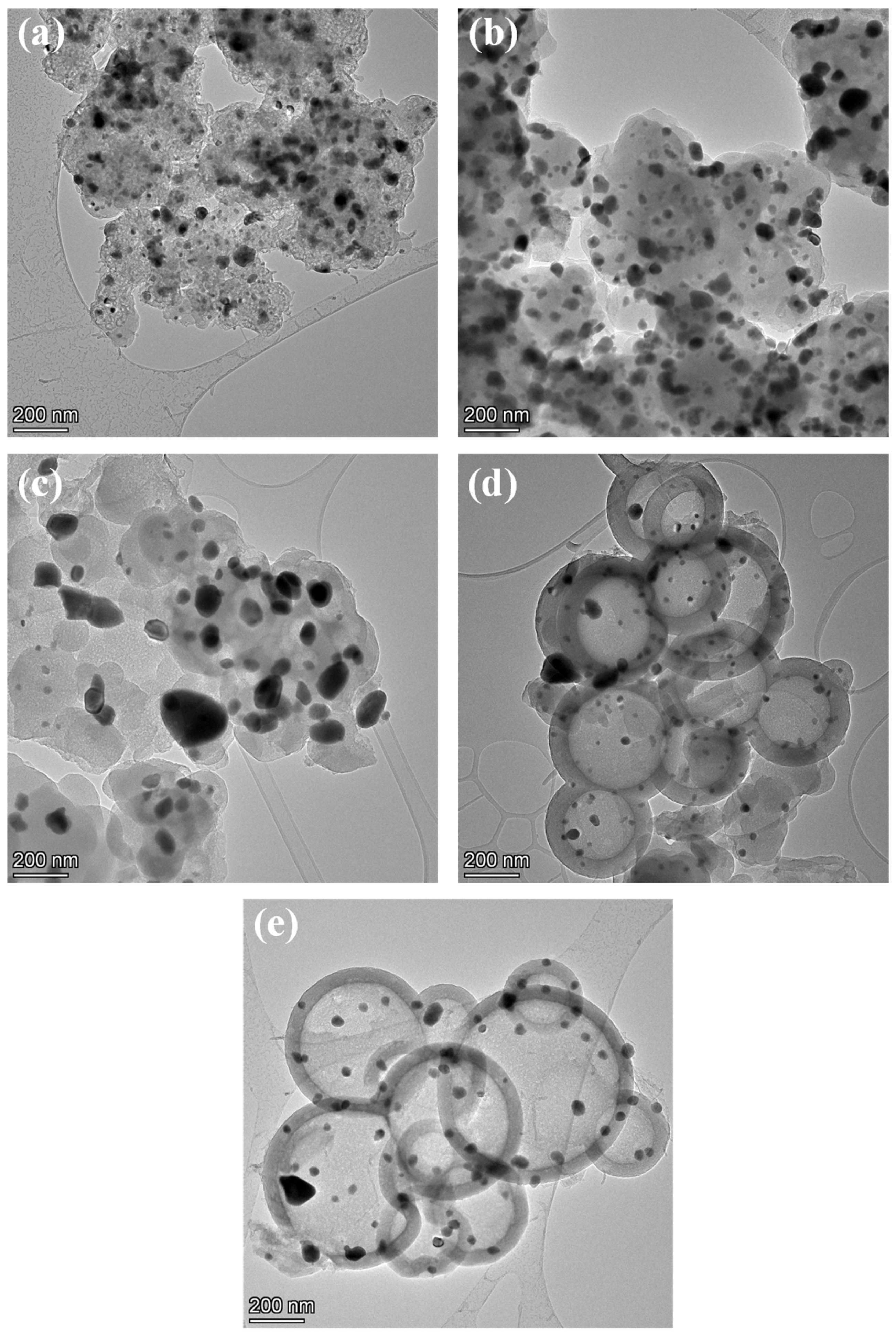 Catalysts 15 00292 g006