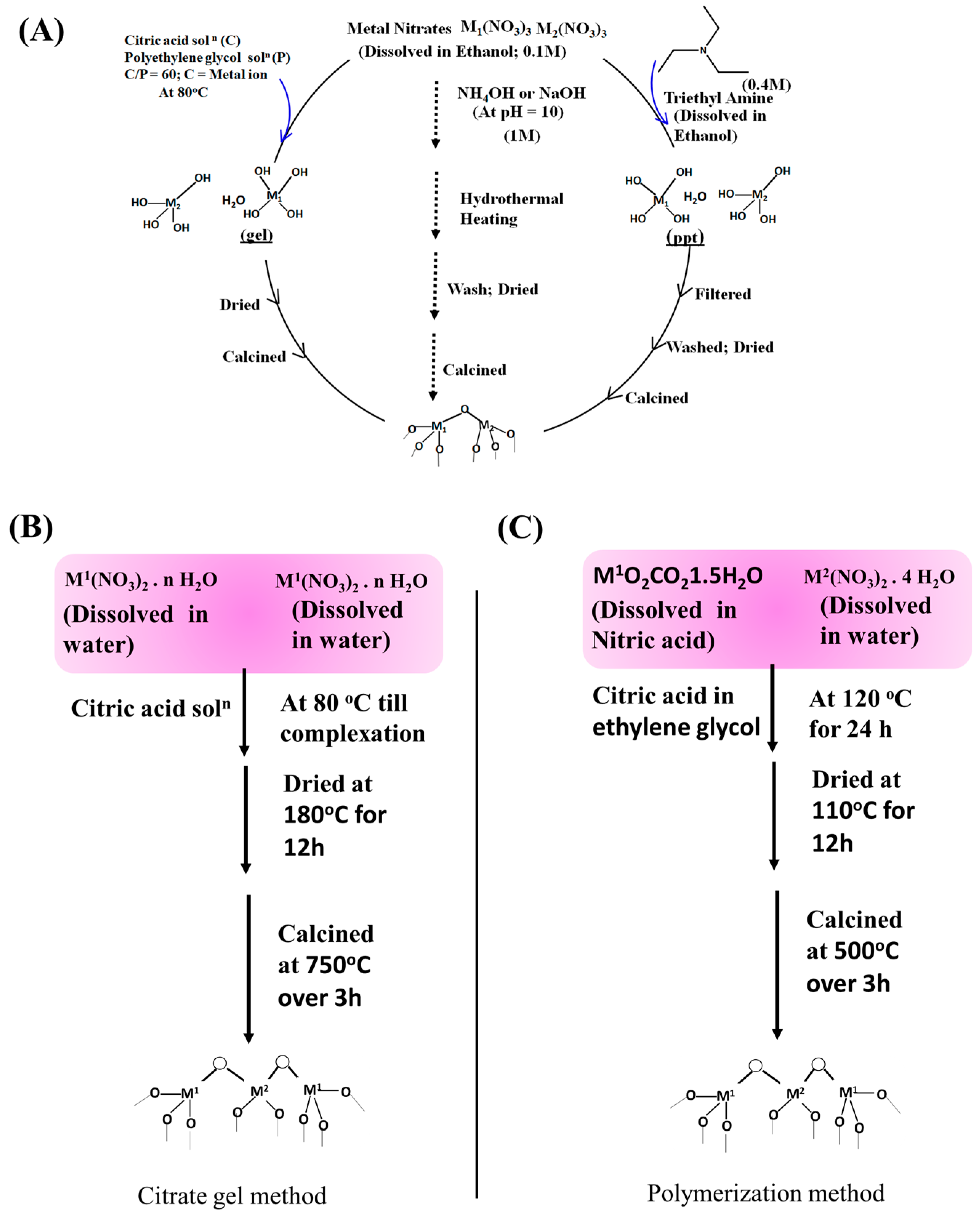 Catalysts 15 00300 g005