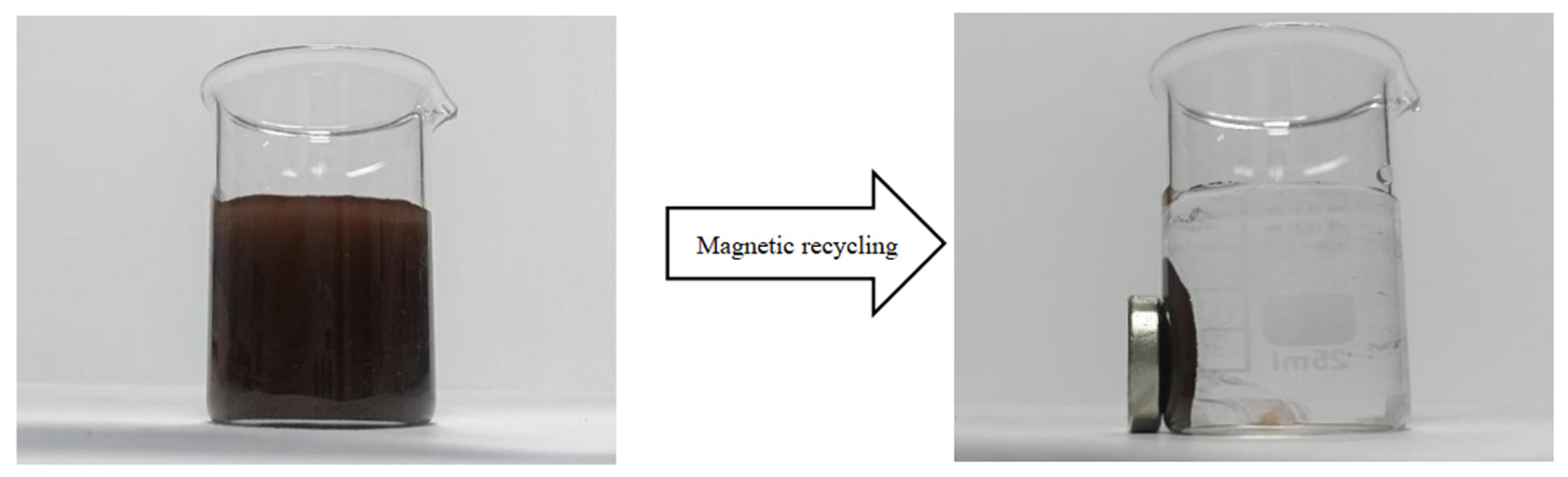Catalysts 15 00314 g004