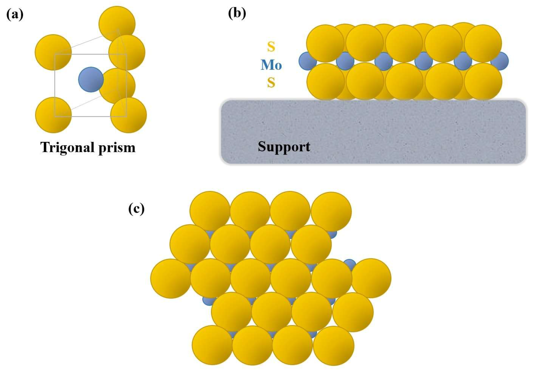 Catalysts 15 00359 g014